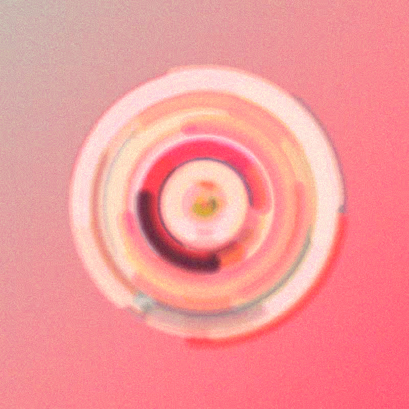 Wisp #618