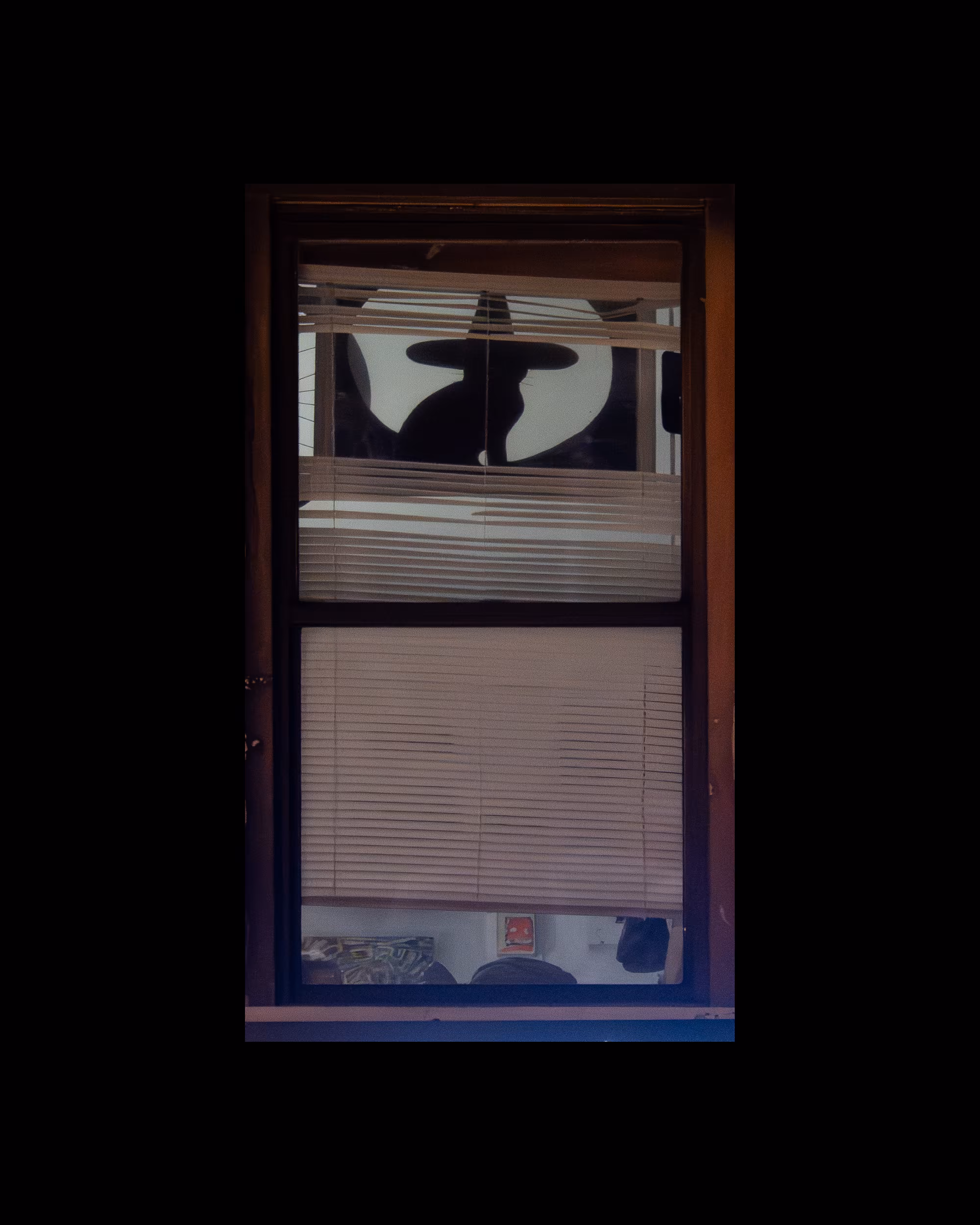 WINDOW 964