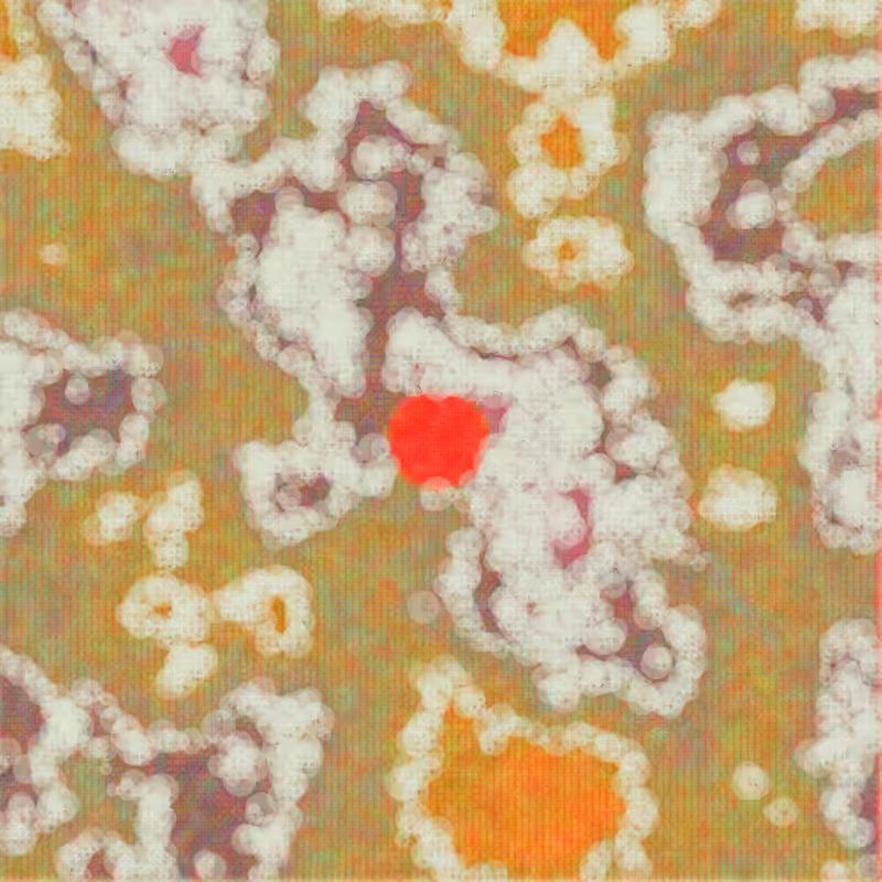Petri 1500 #563