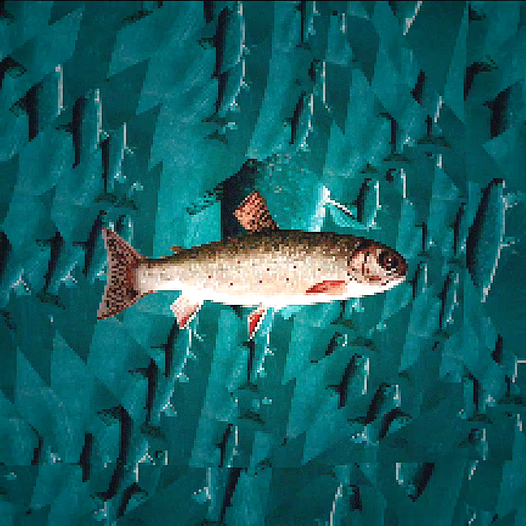 Keep Swimming