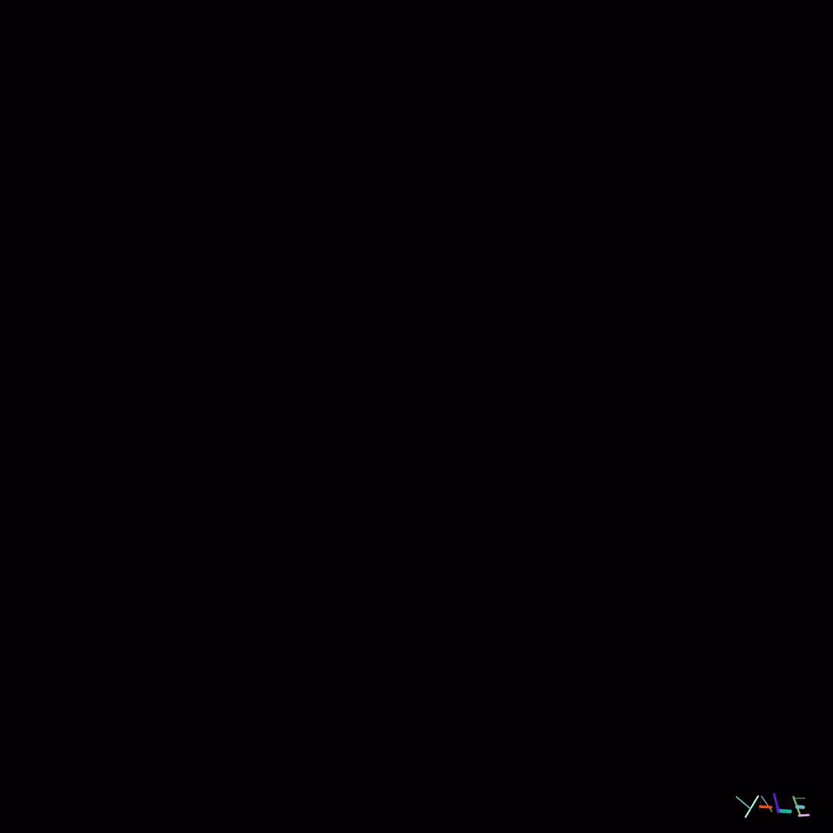Black #6
