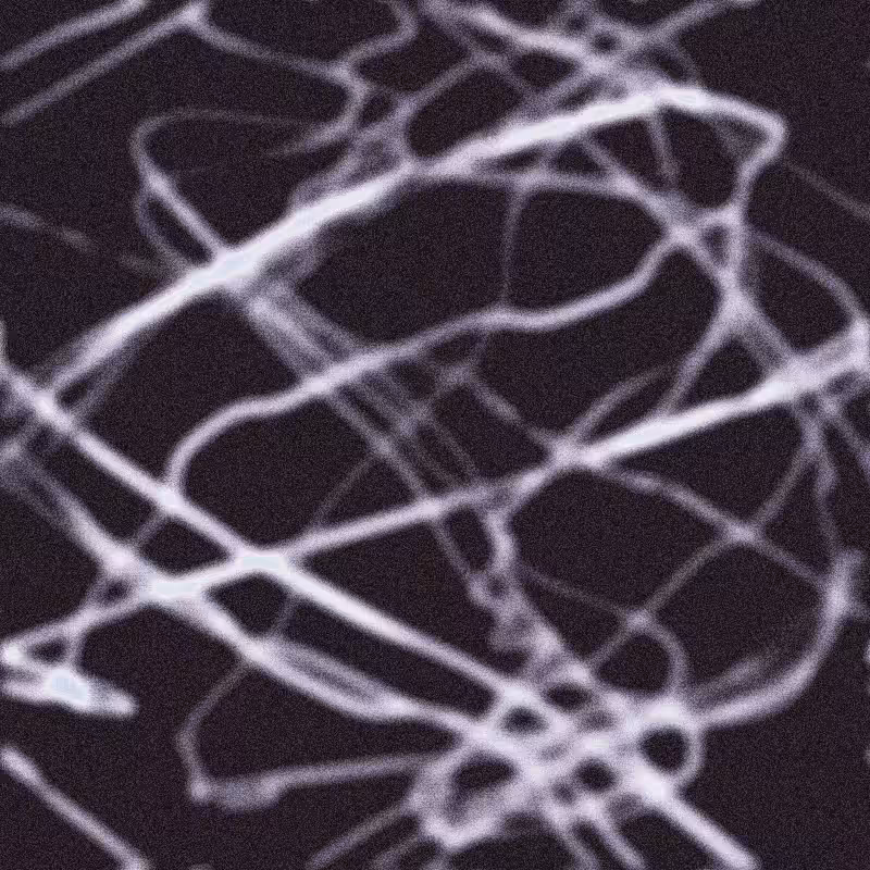 Rhizome #14