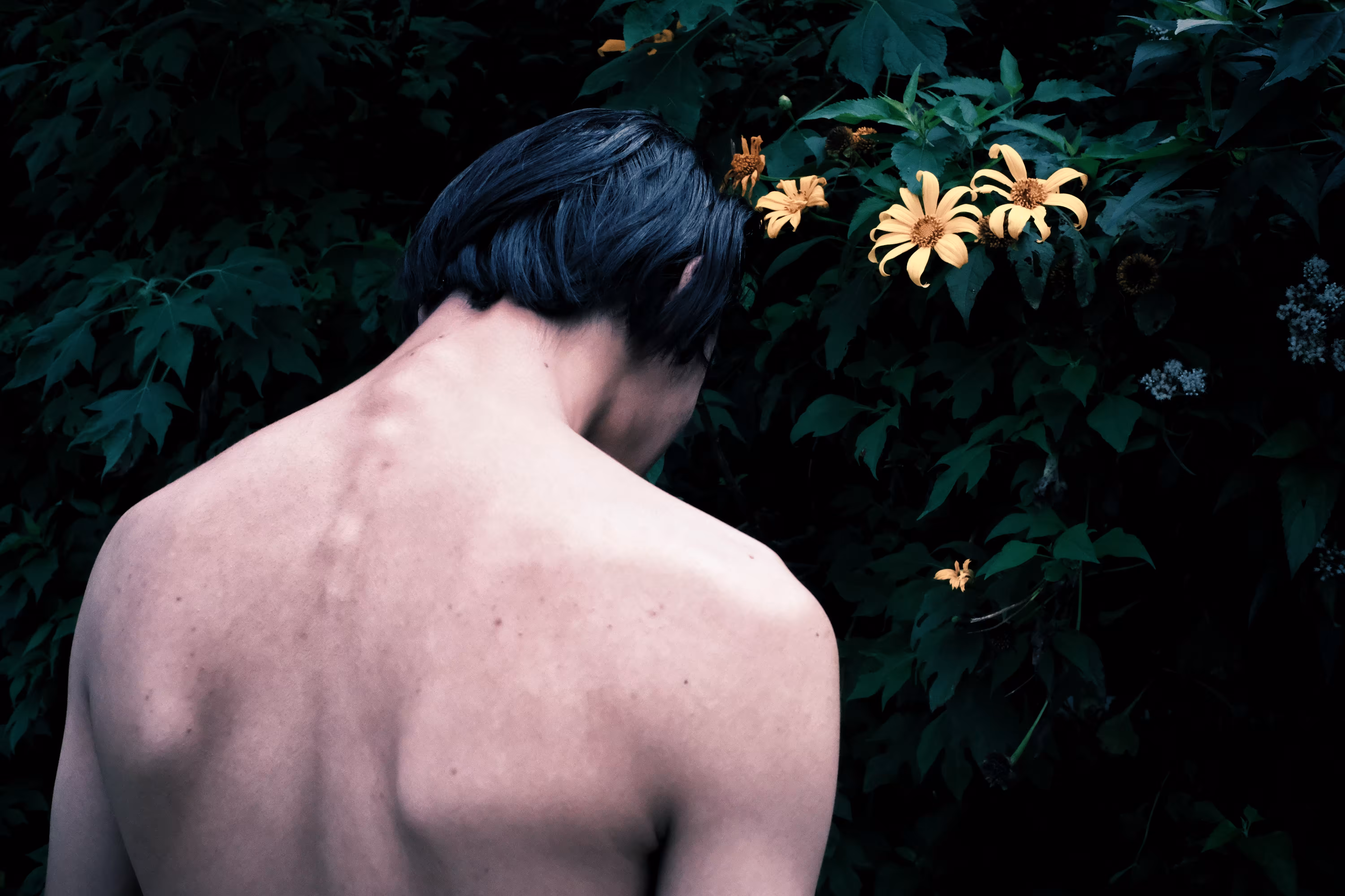 Survivor