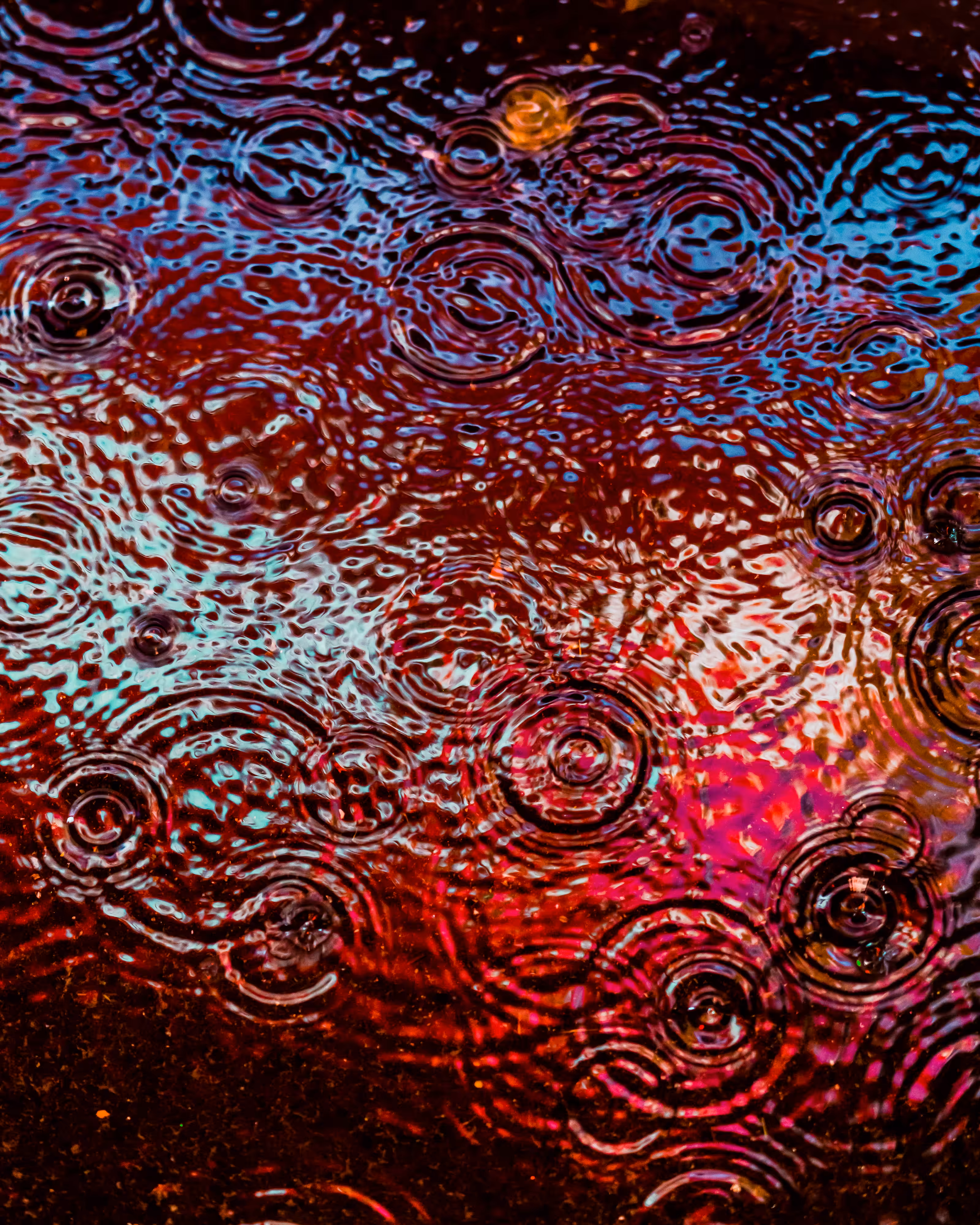 DRIP DROP: DRIP #308