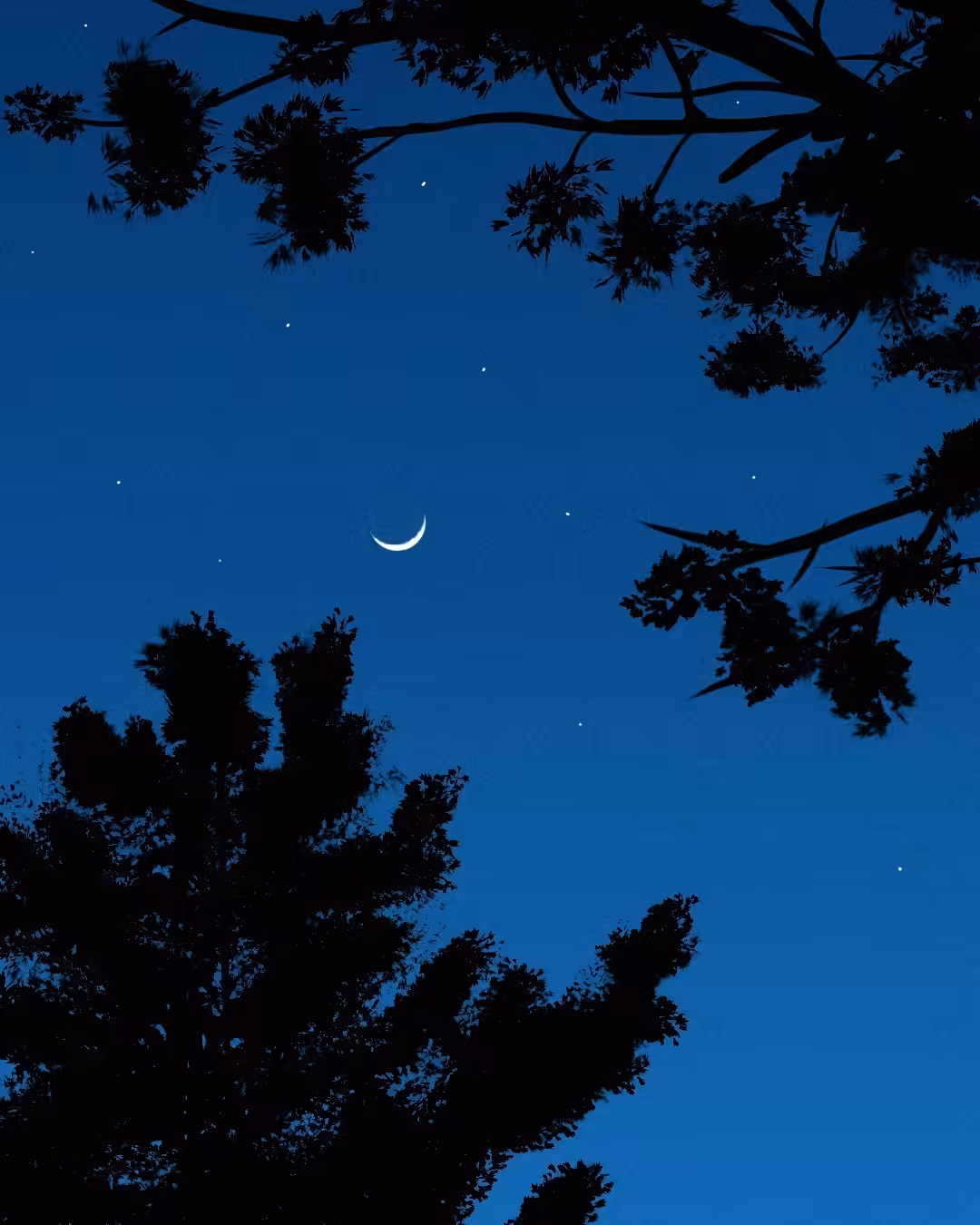 Art Of Abolfazl : Cresent Moon 