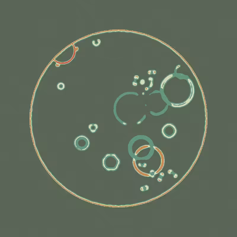 Cheap Petri Dish #61