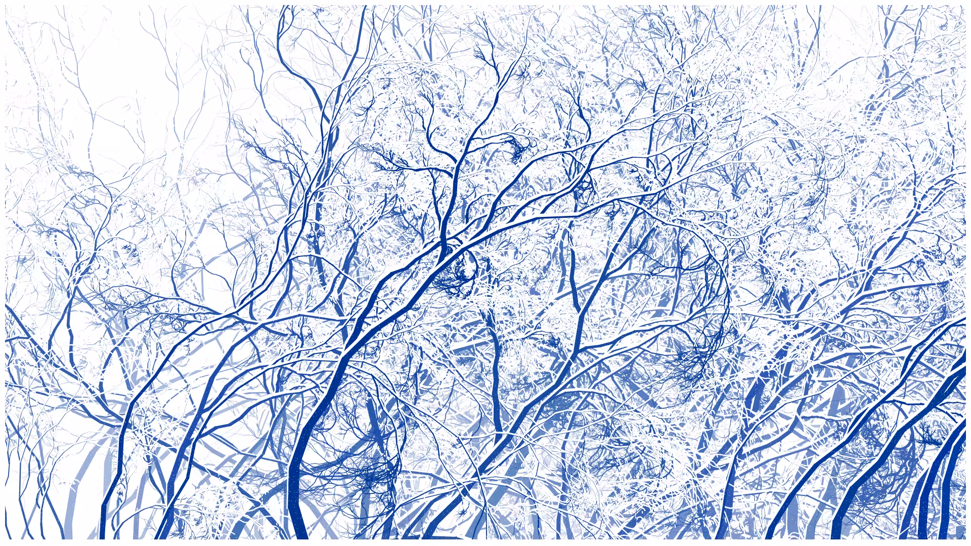 SCHNEEWALD #180