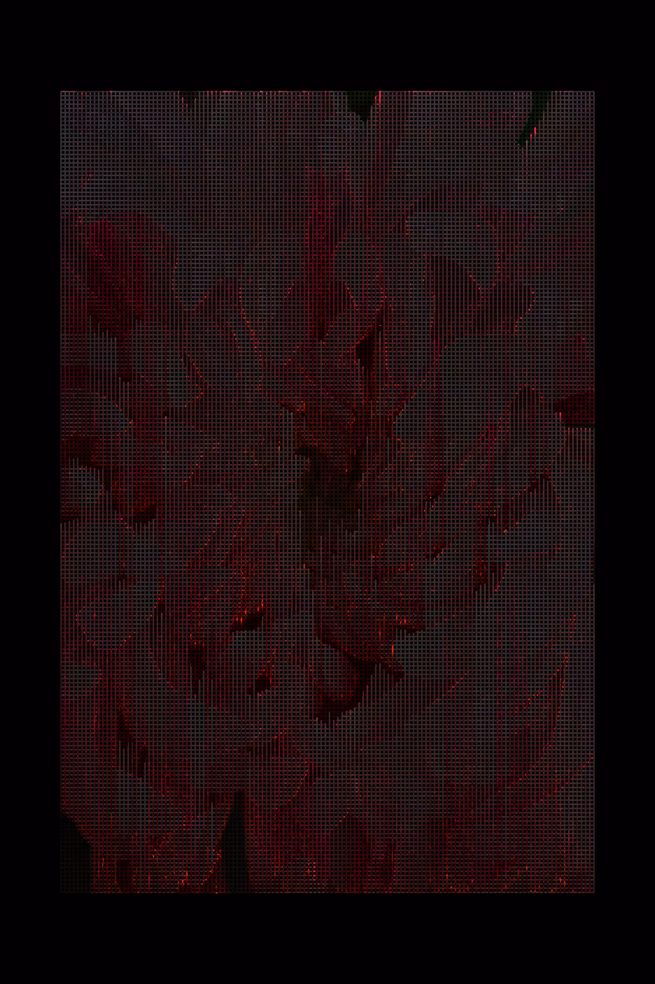 Les Fleurs du mal