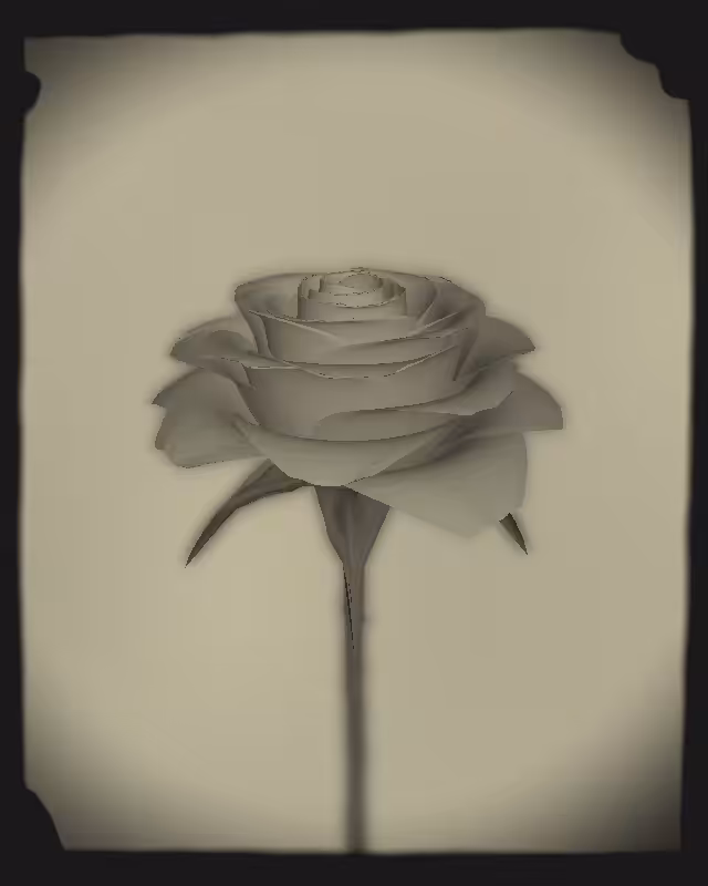 Rose 1851 #93