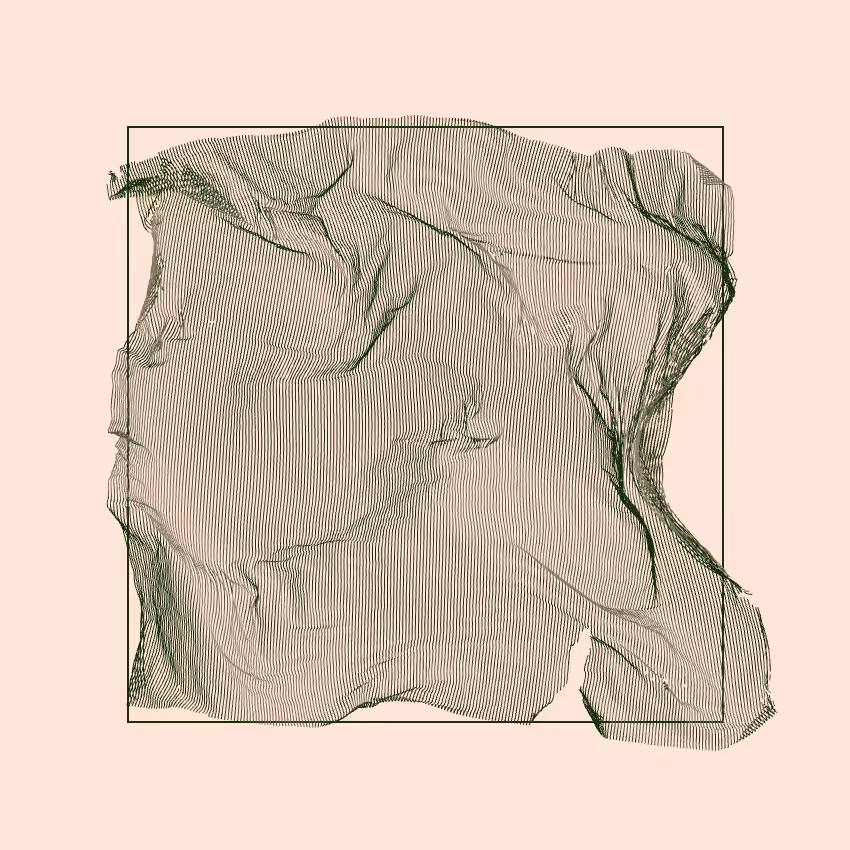 Fibril #85