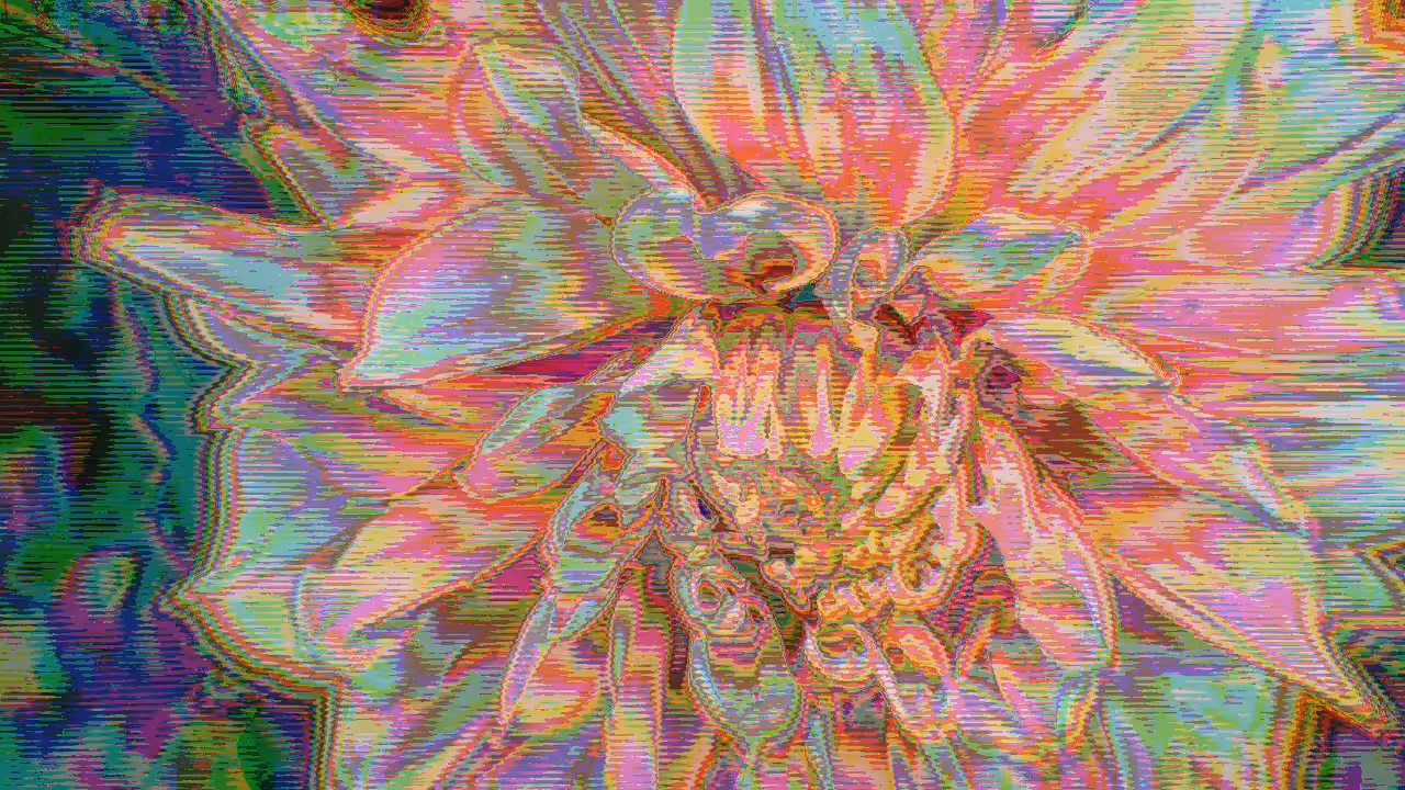 IN BLOOM #5