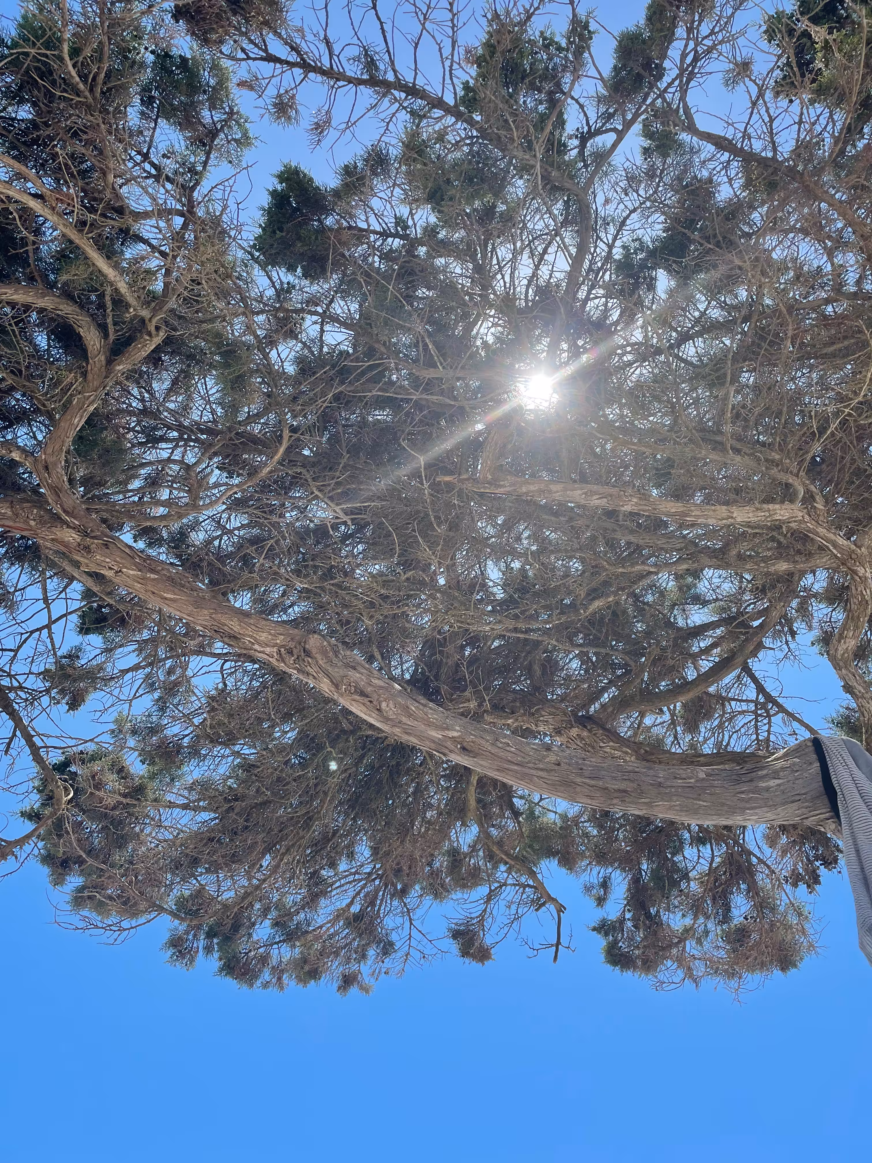 LIFE PHOTO GALLERY: NO. 31