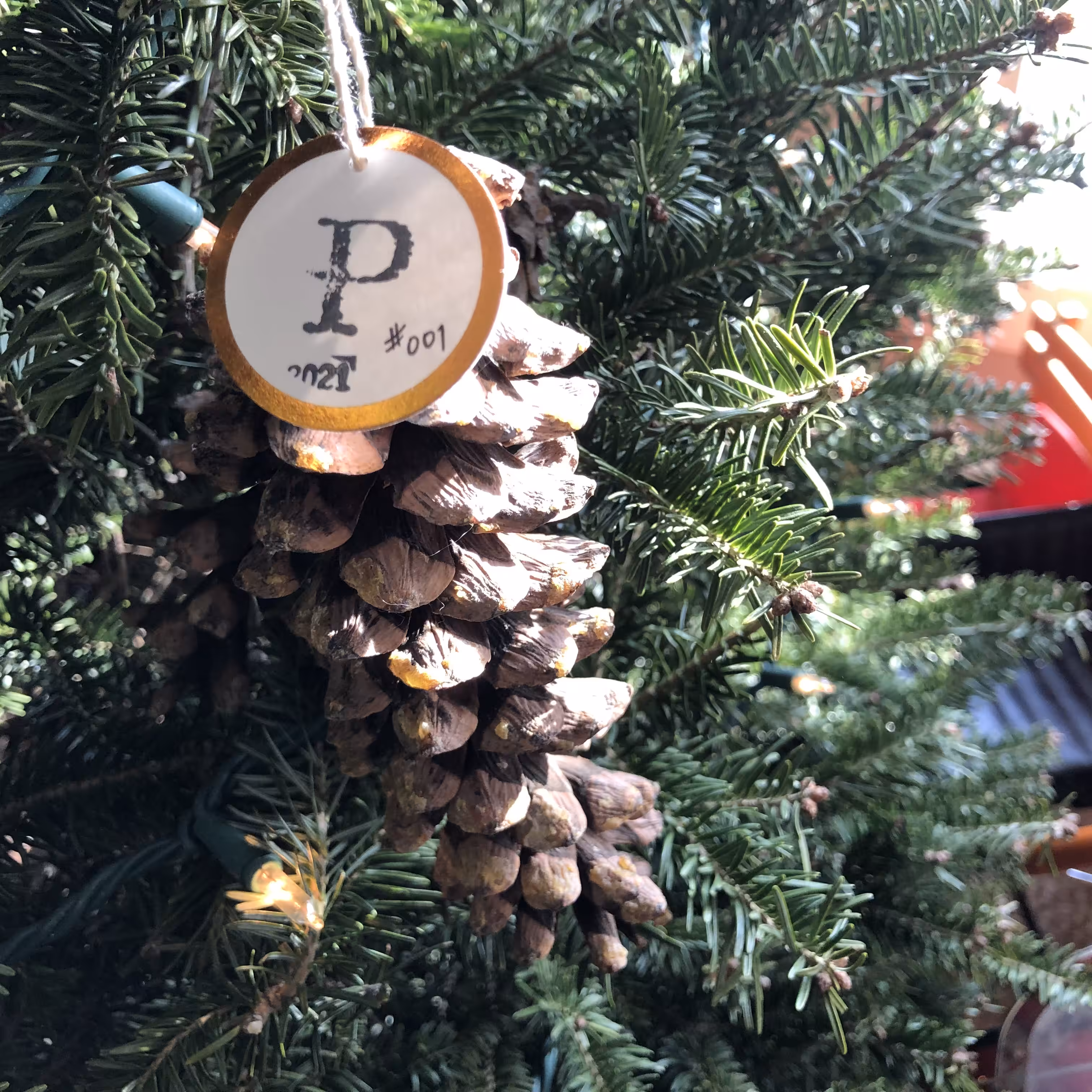 Pinecoin 2021 #001