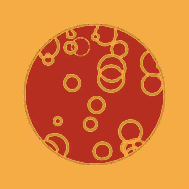 Cheap Petri Dish #42