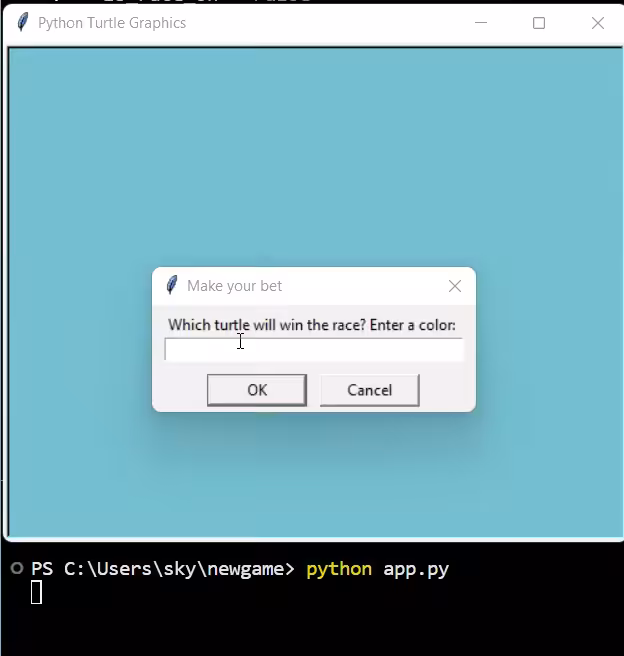 Python Bet 