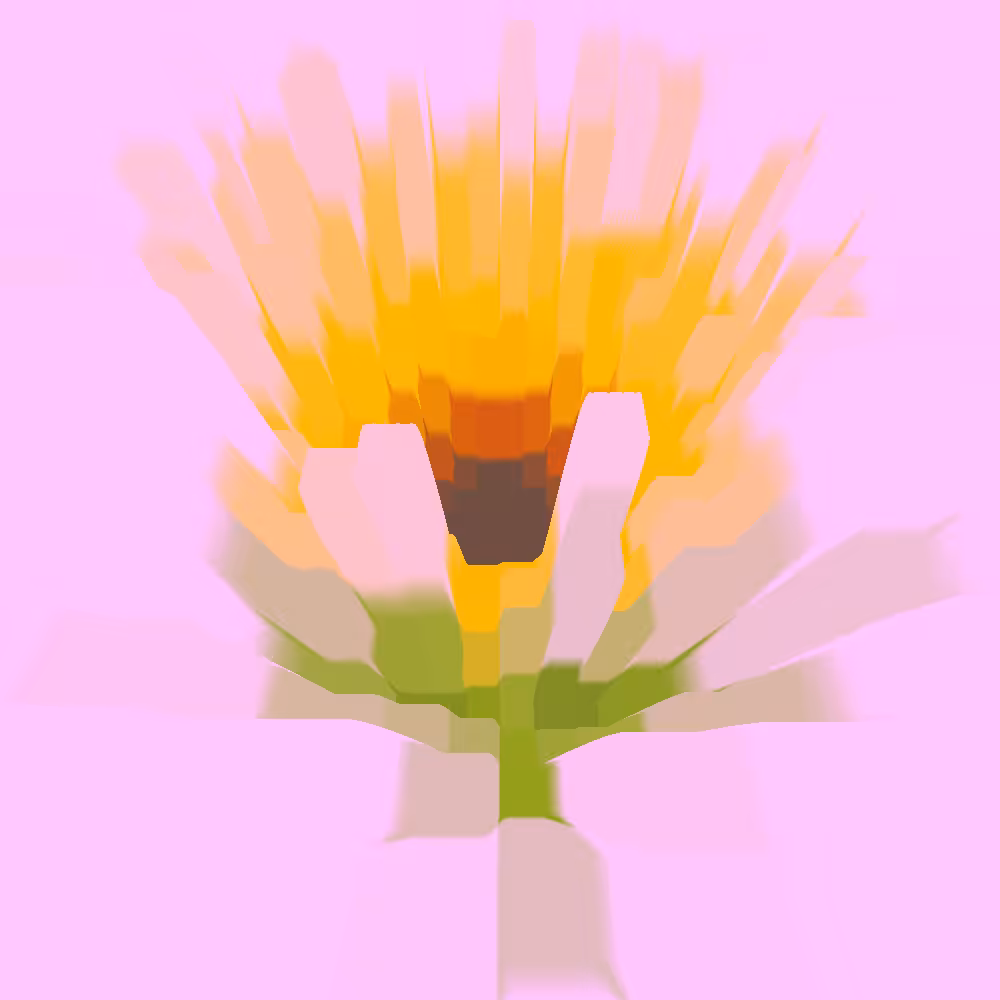 🌻