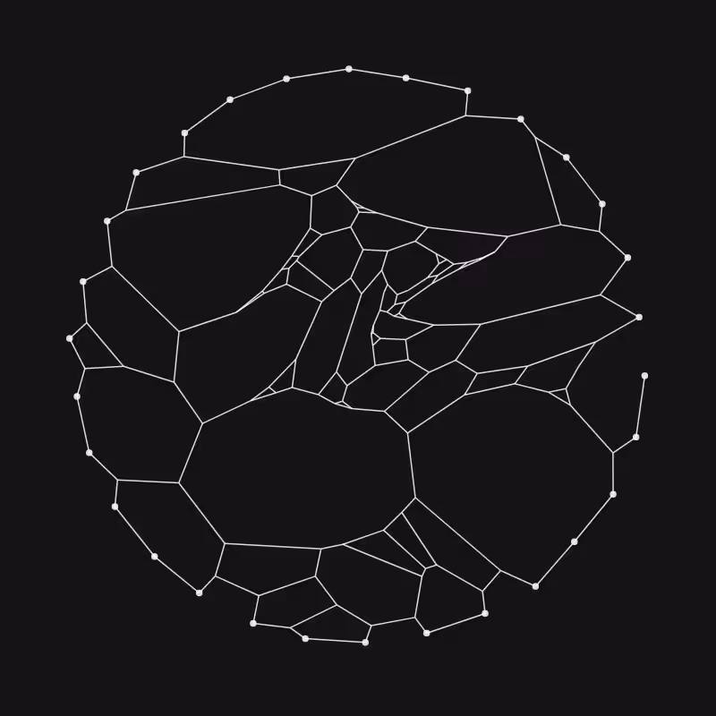 Elastic Web #214