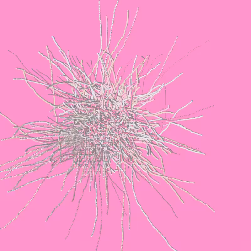 fibinous infection #68