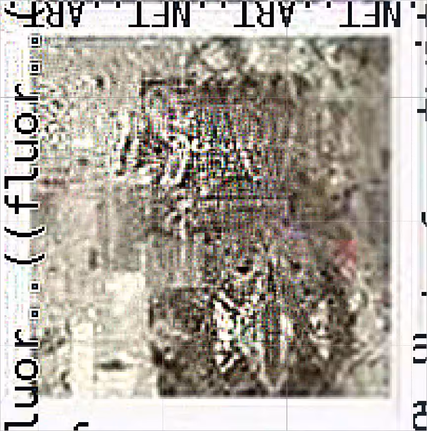 MICROGRAM 10/144 (The Fractagram CRXPTOᐰRT Display Series)