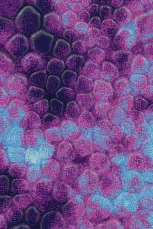Vitreous #80