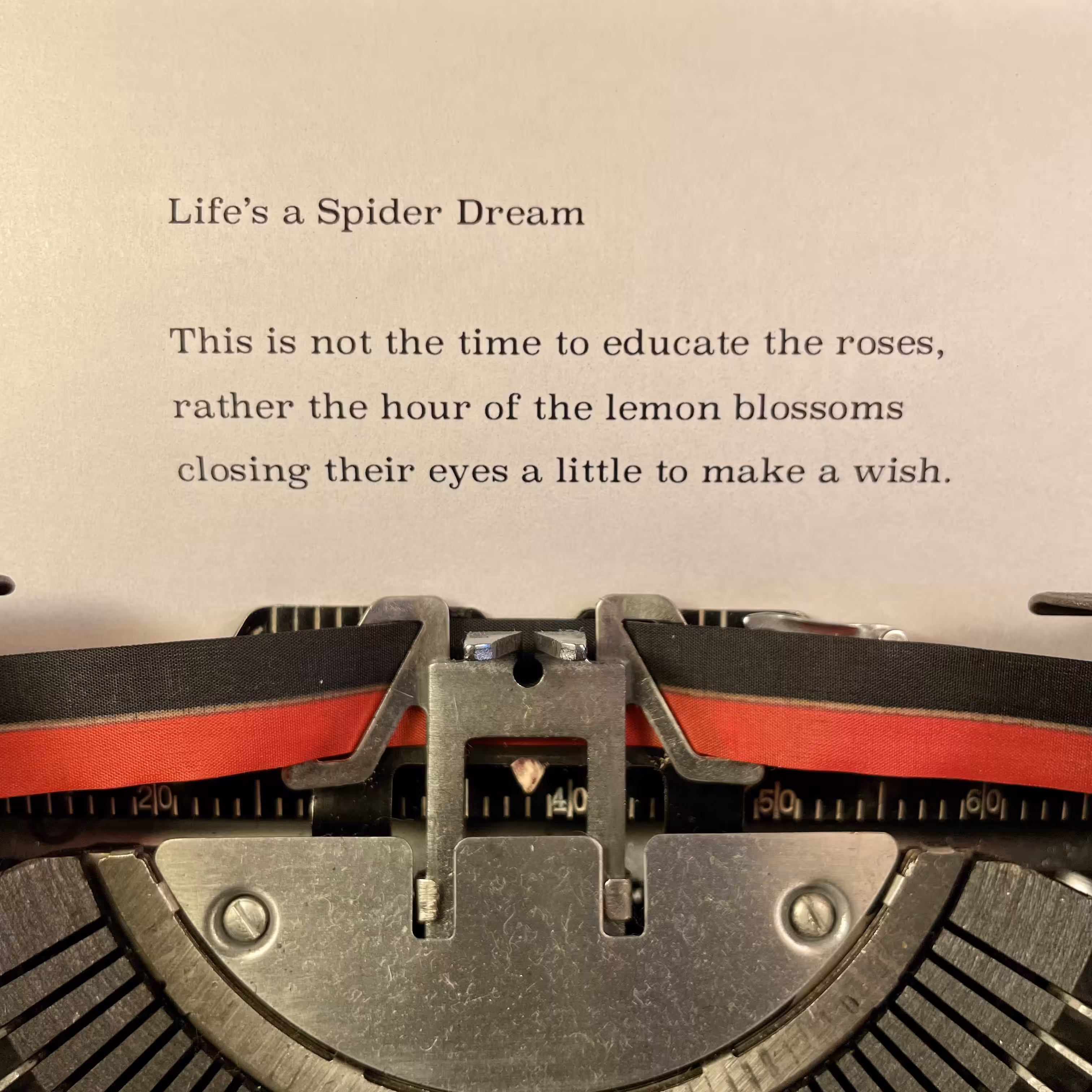 Love Poem Tercets: Life's a Spider Dream