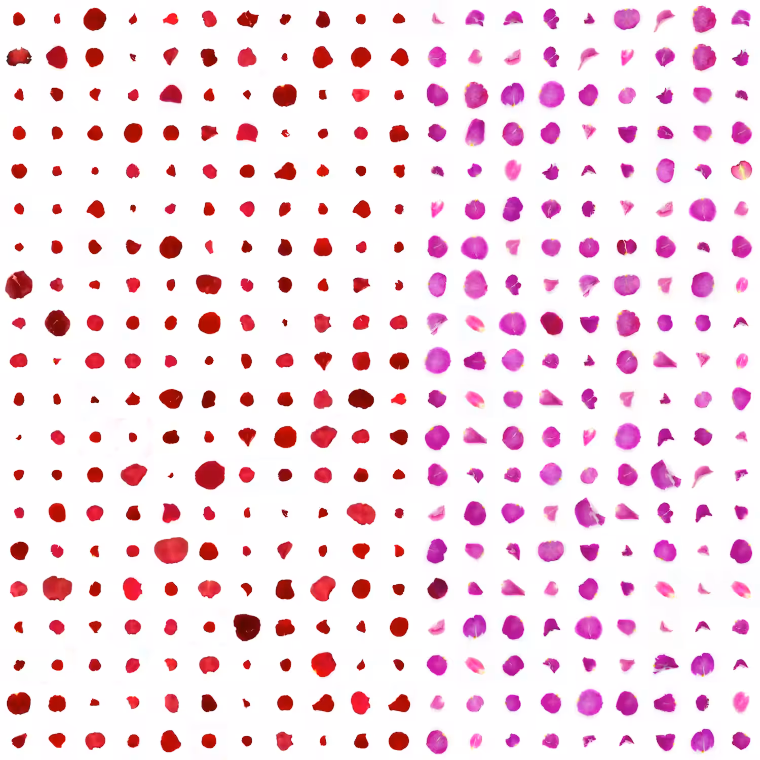 Infinite Petals 20x20#3025
