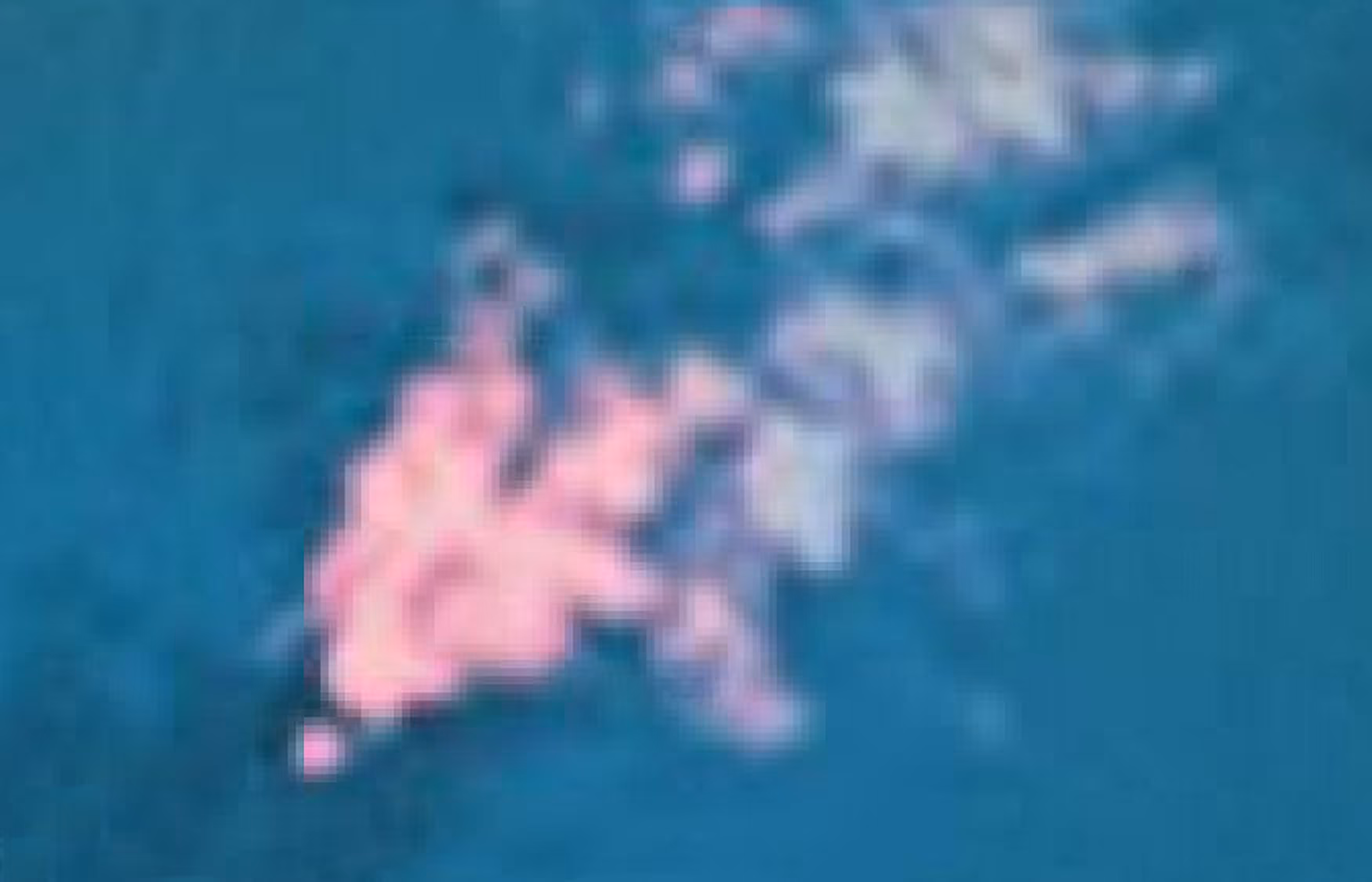 pink cloud above pulau tengah  -  abstracted by google earth