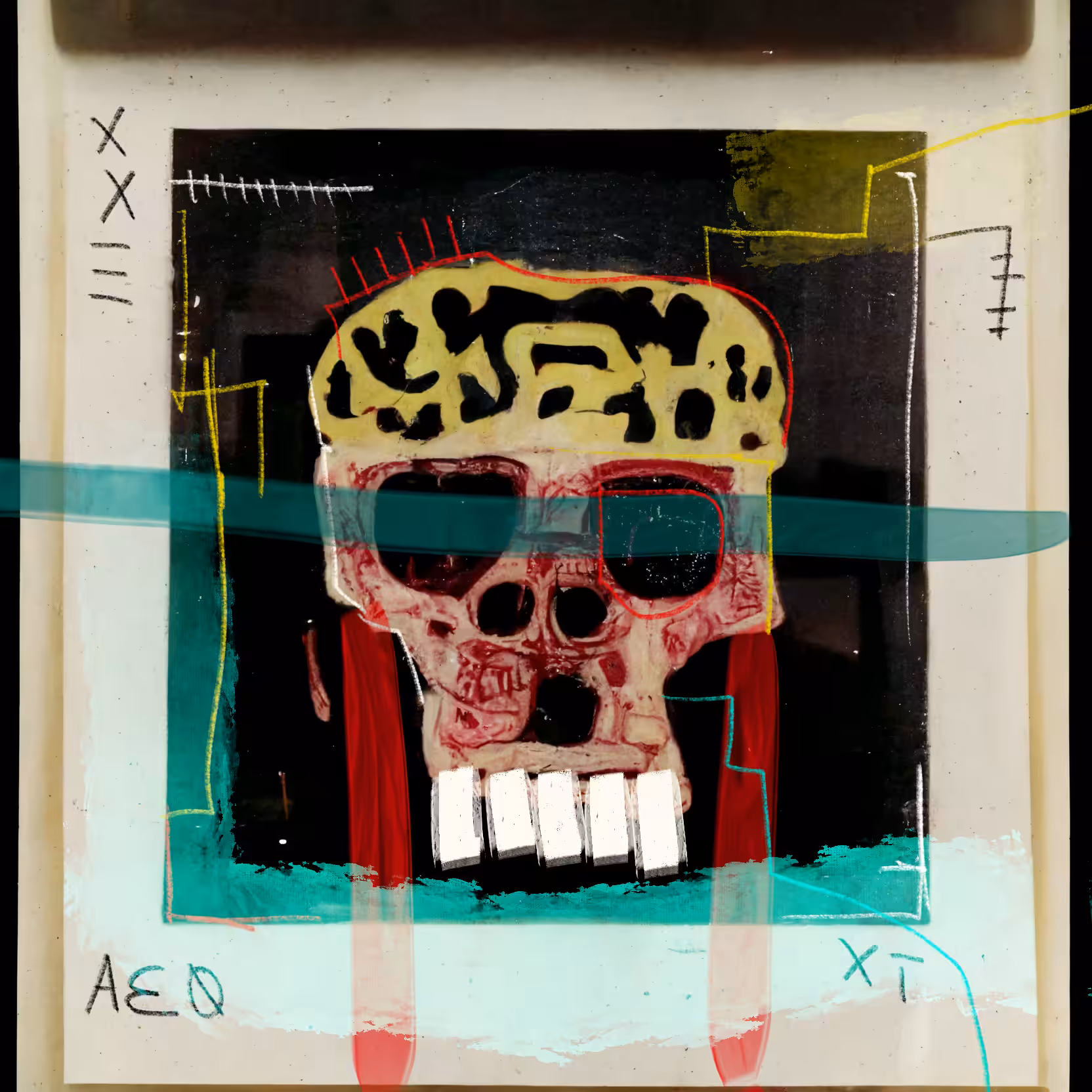 POLAROID SKULL 016