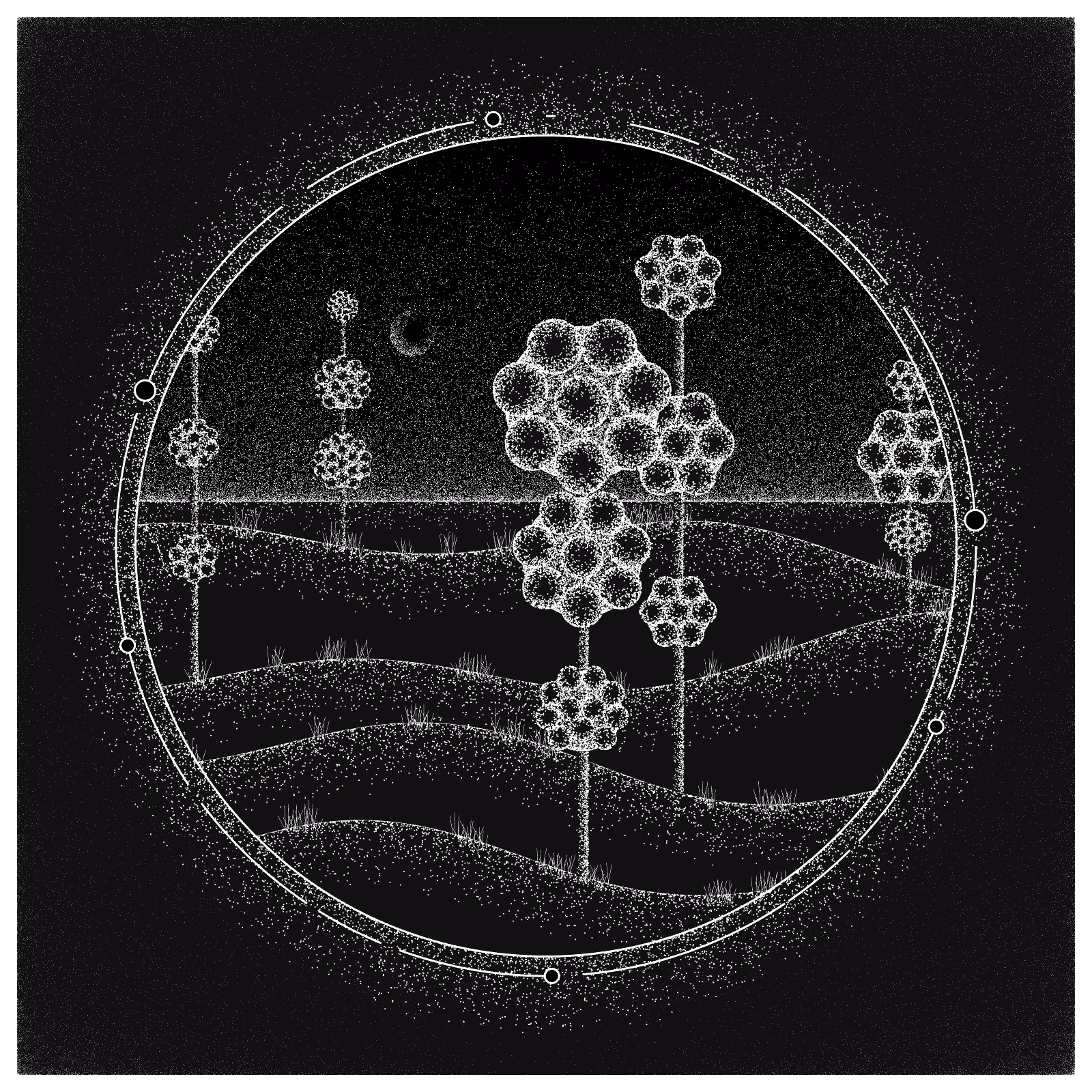 EXPLORING SPACE FLOWERS #61