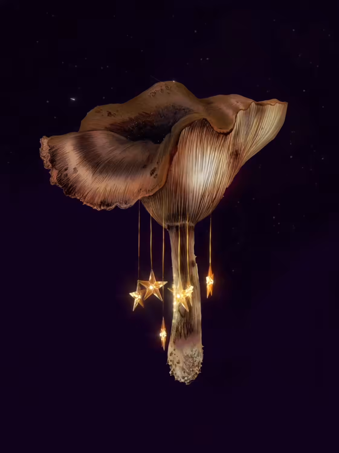 Space Mushroom