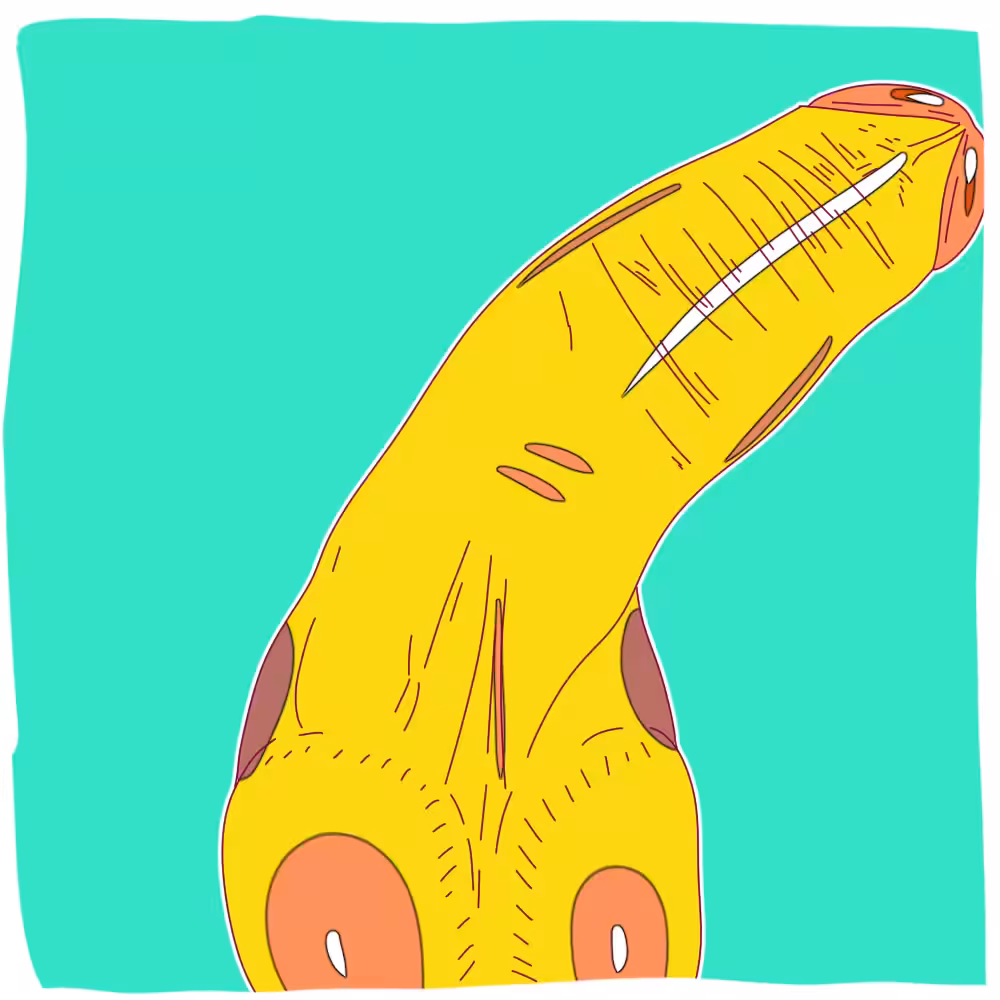 dickspo #2