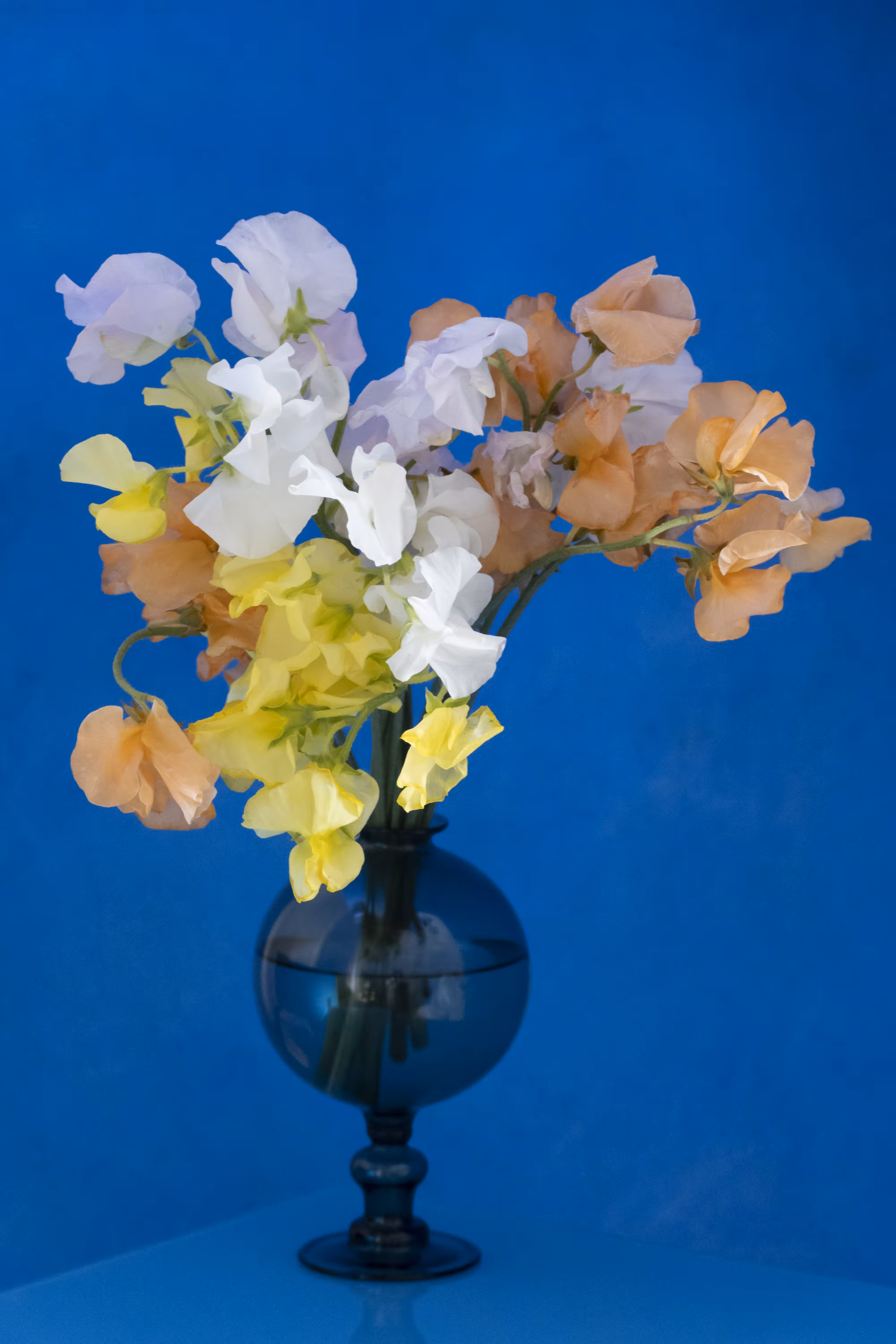 Still Life.16