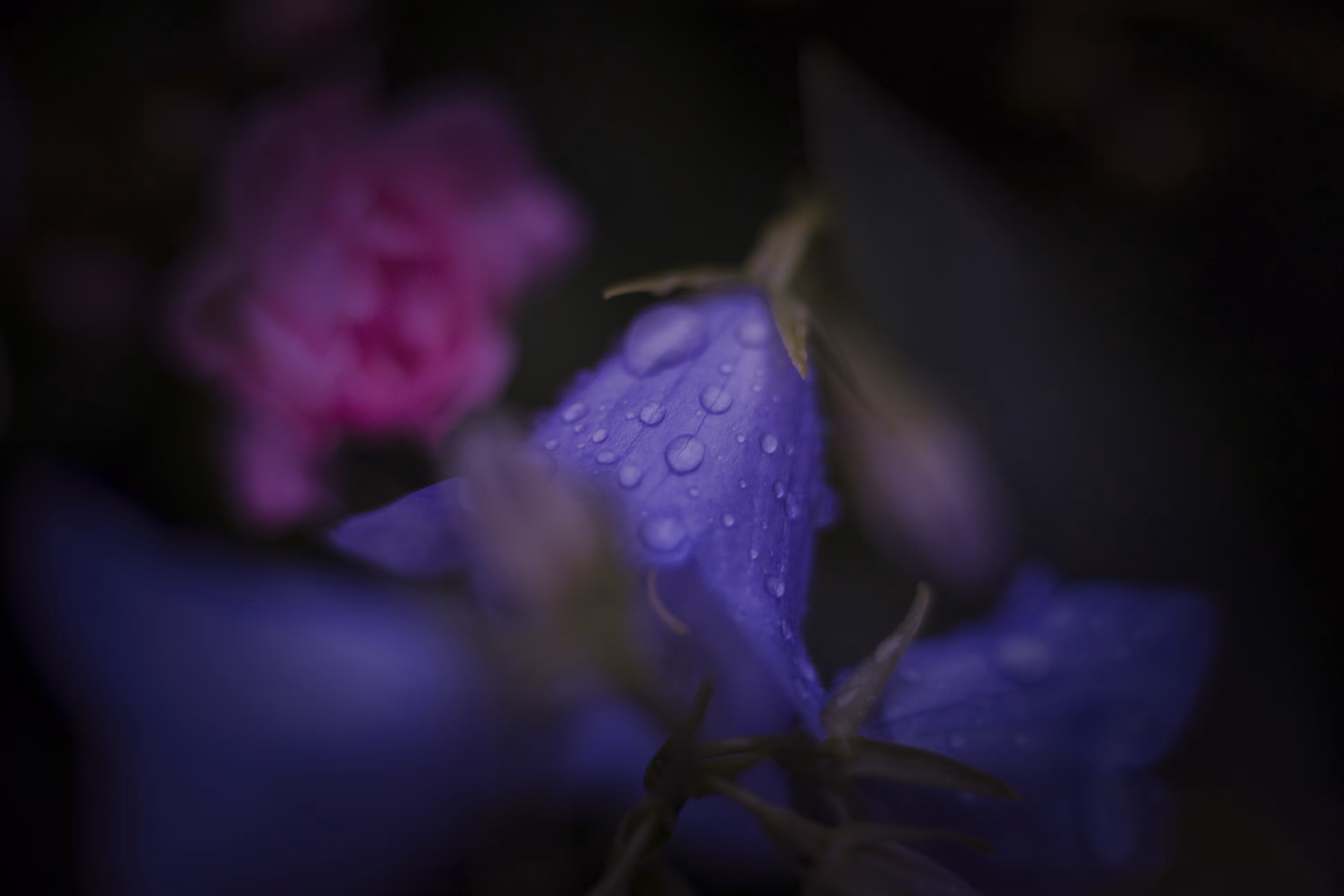 Tears of Nature