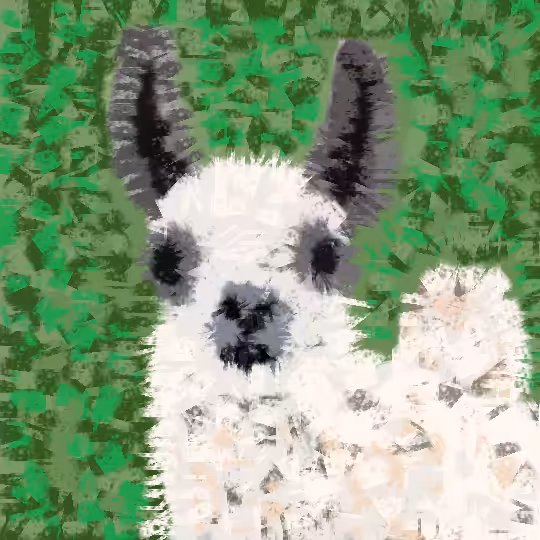 Llama
