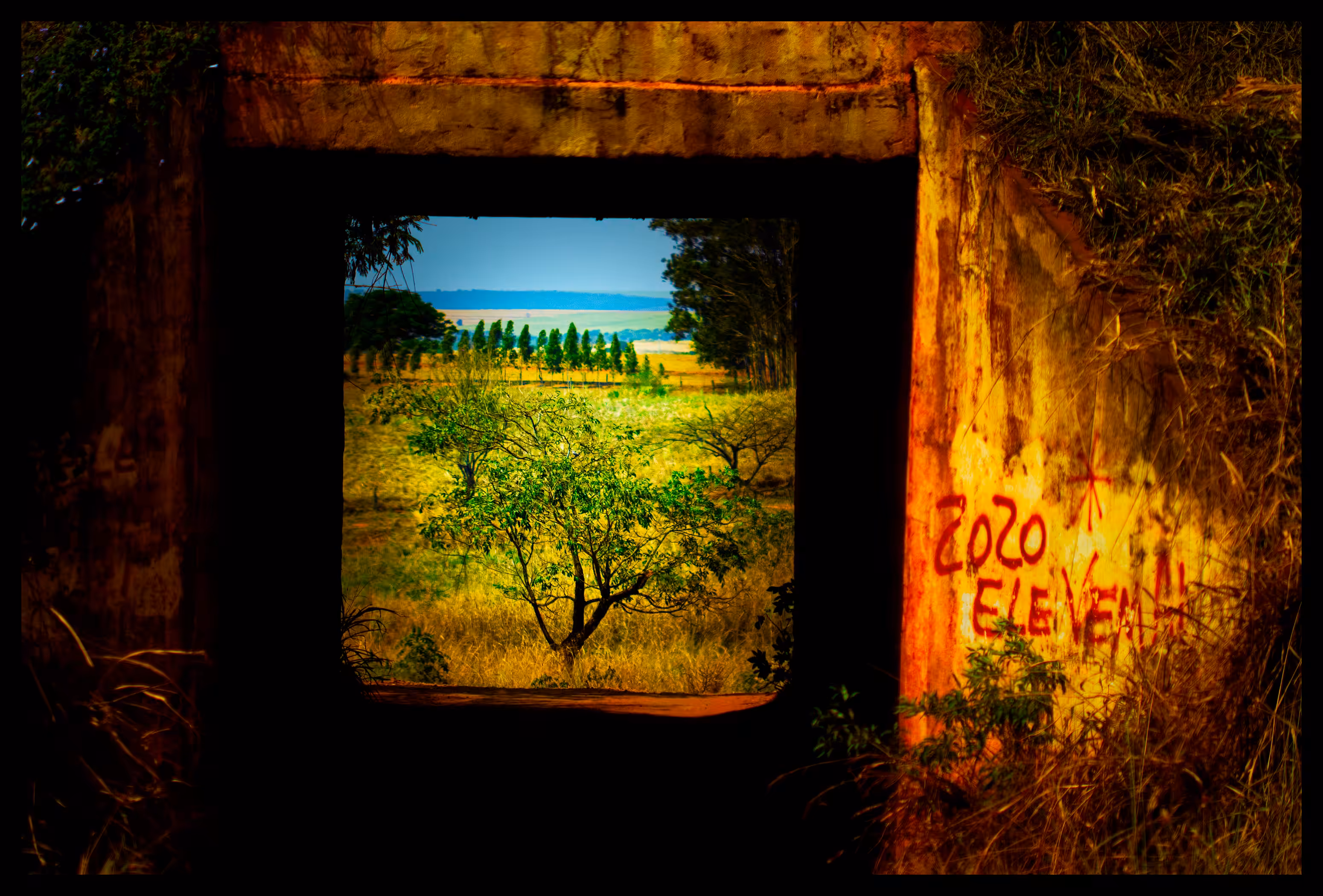Frame