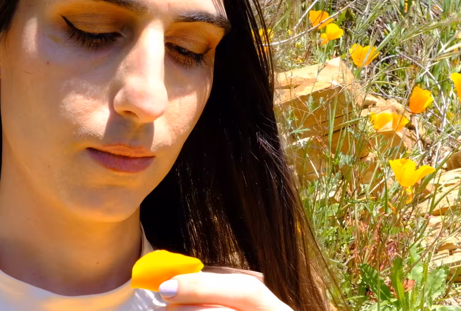 Allure of the Poppy #3