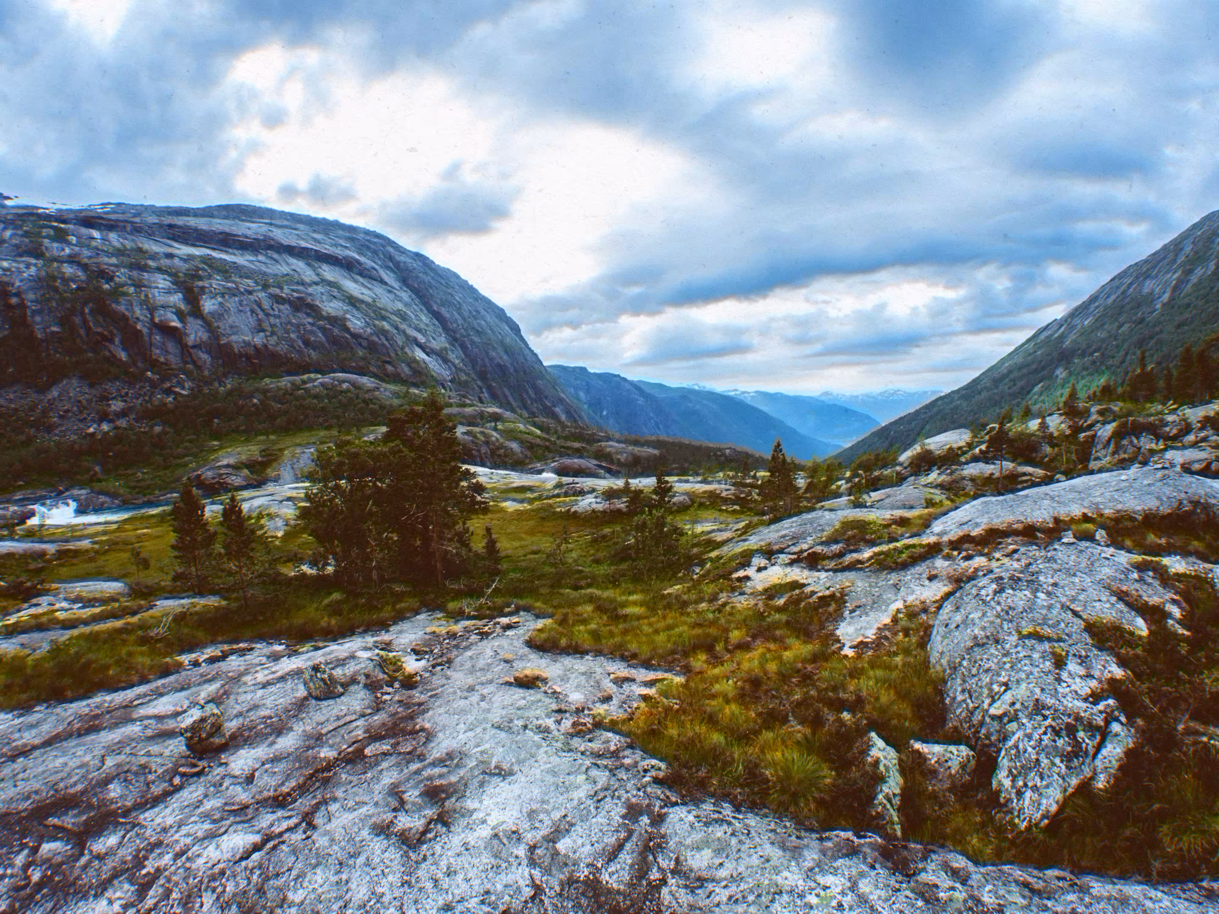 Norwegian nature