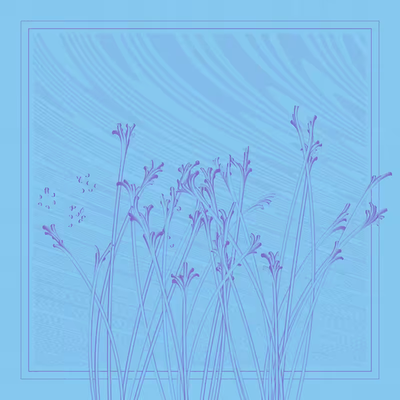 string_pllu #78
