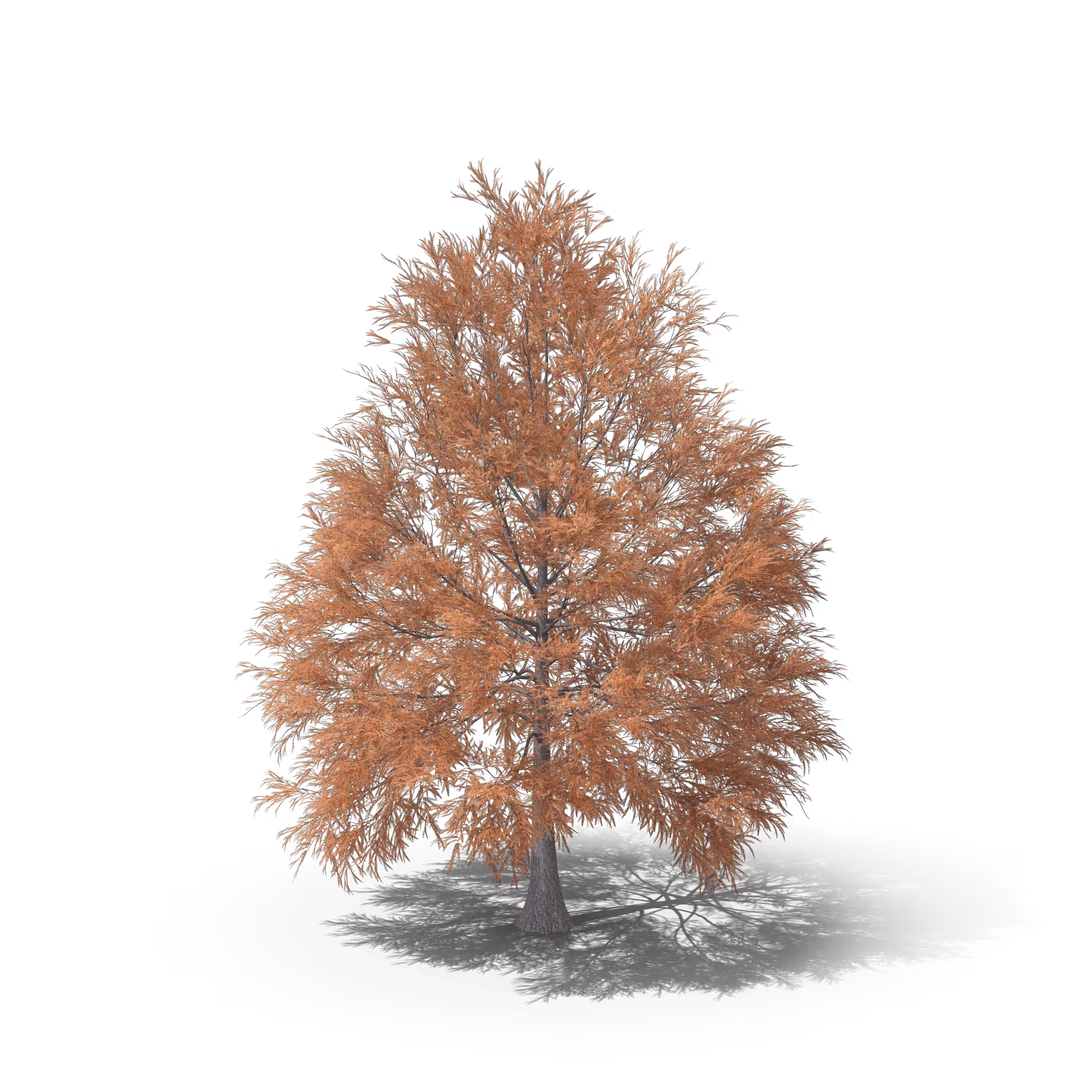 Your Tree #41
