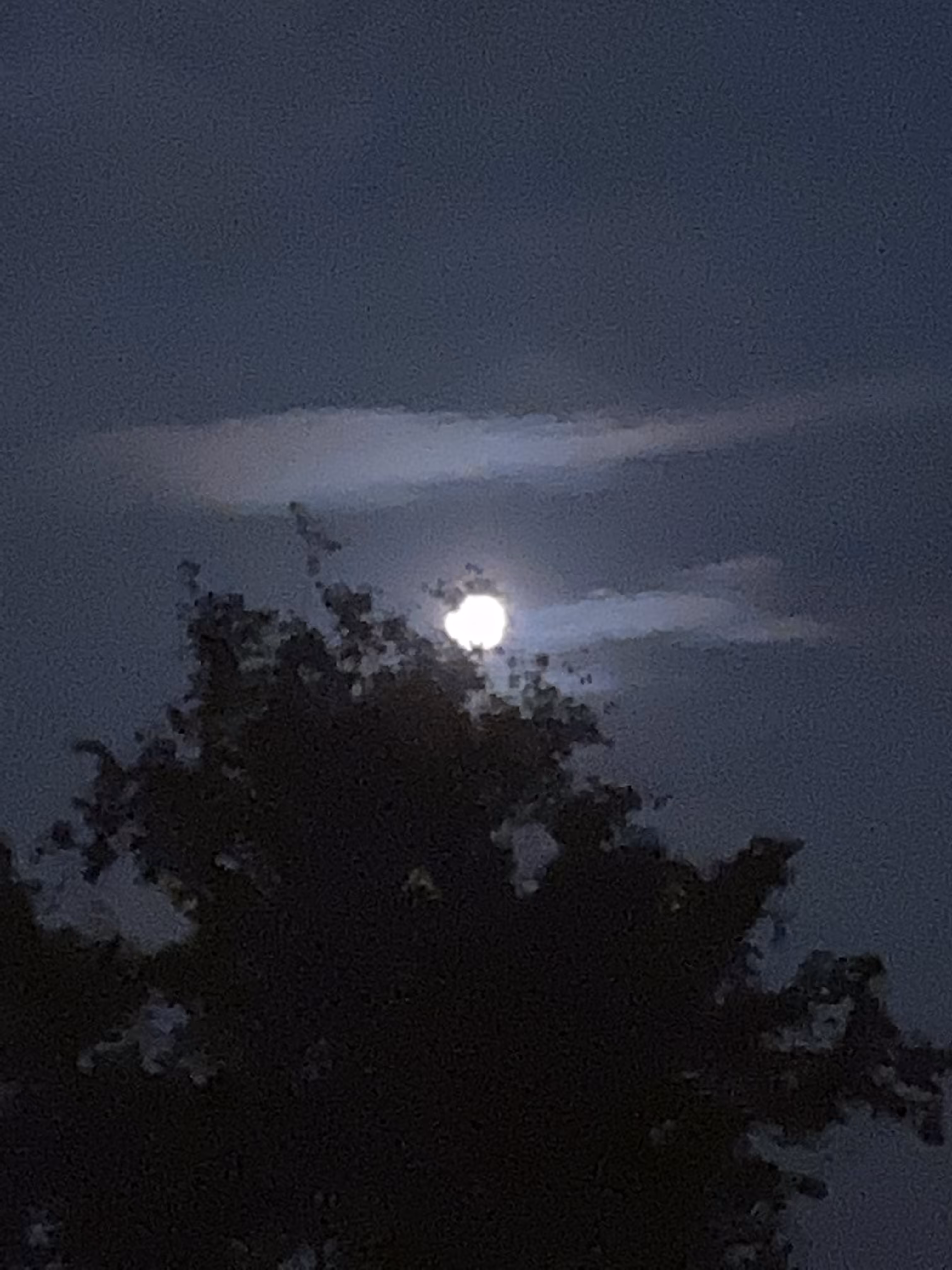 true moon