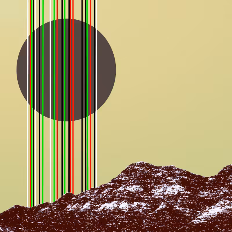 collage #1  from nature #51