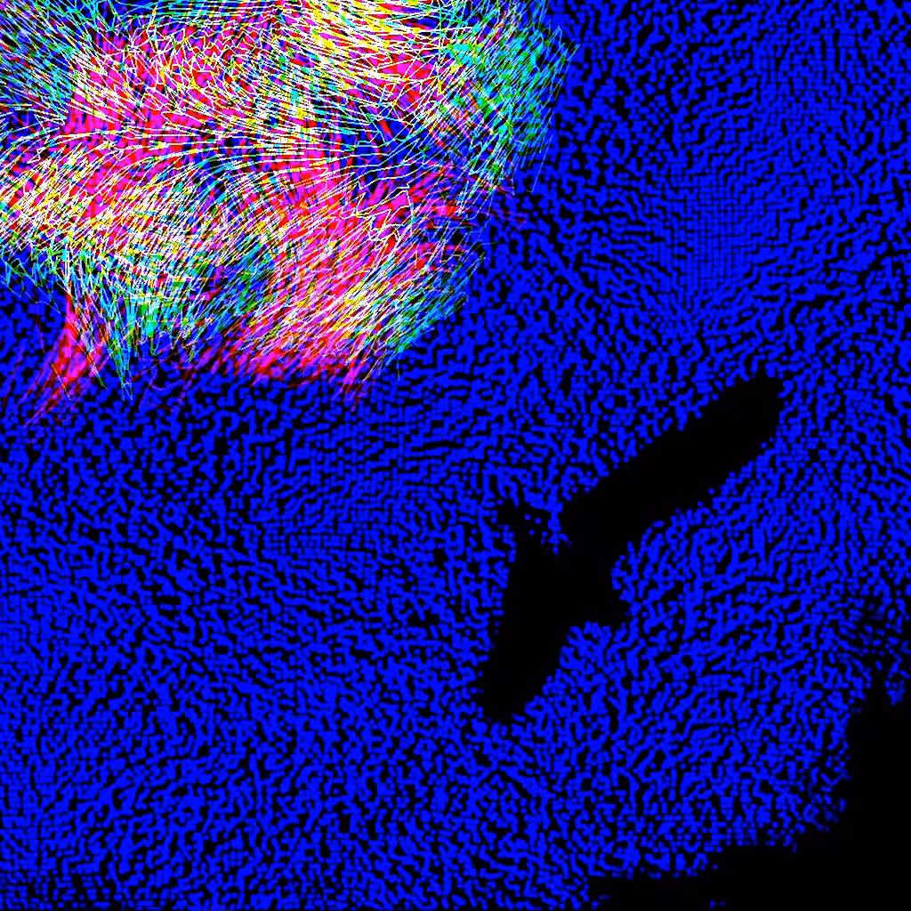 Souvenirs of lights 3 - The bird