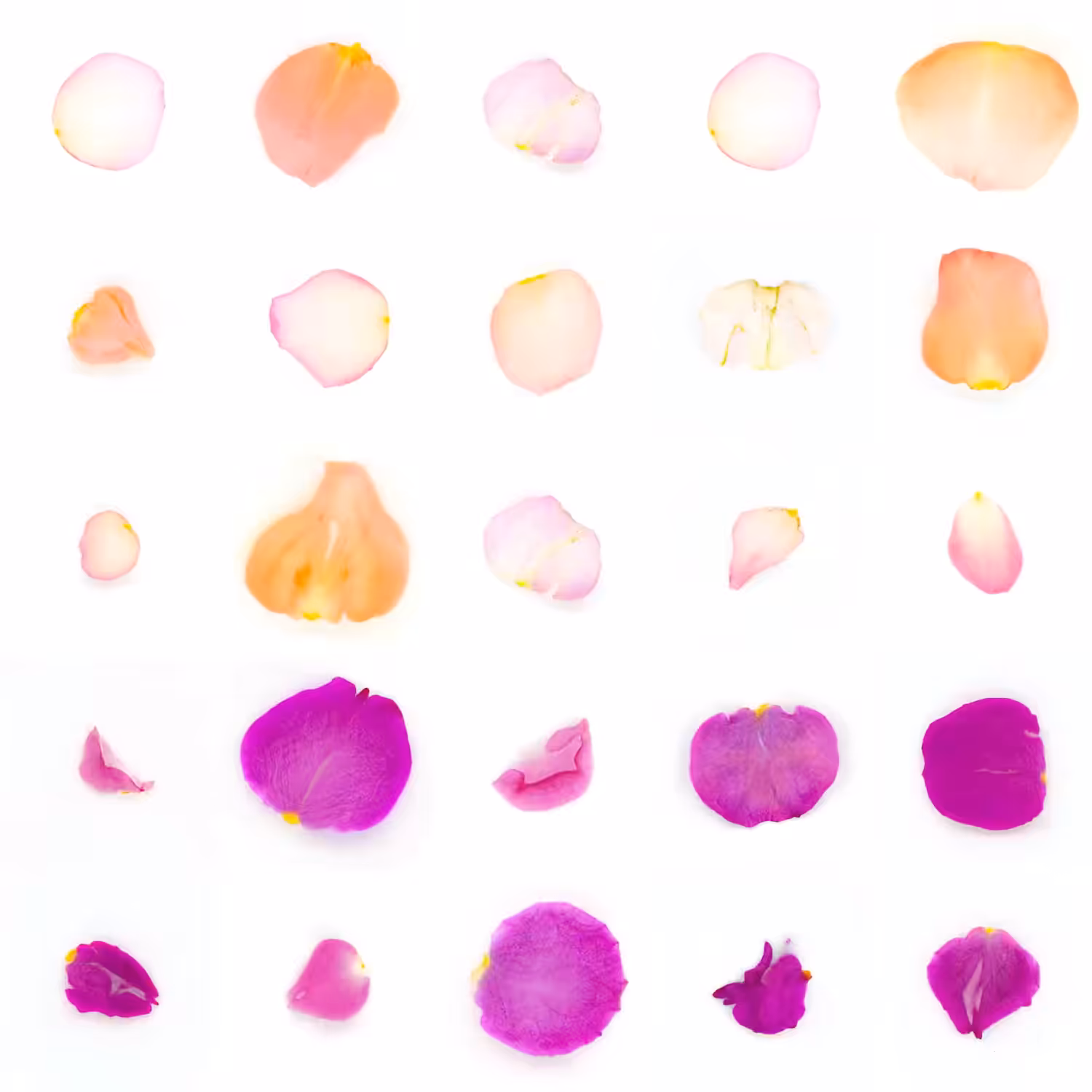 Infinite Petals 5x5#1210