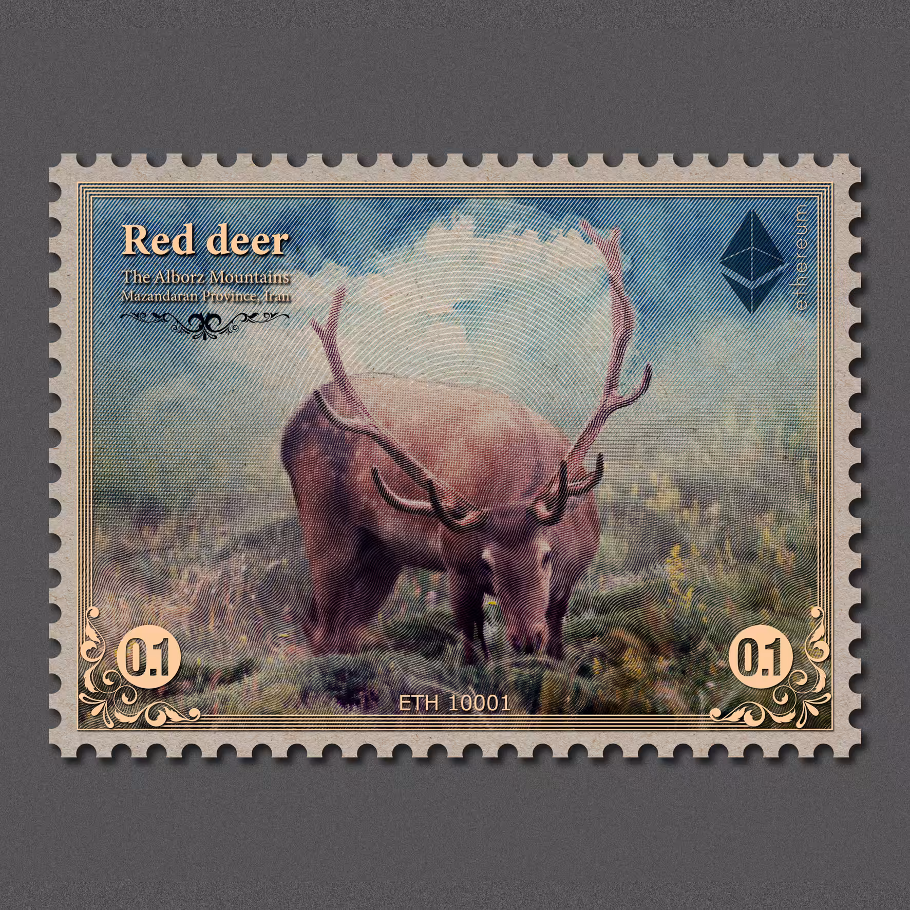 Red Deer