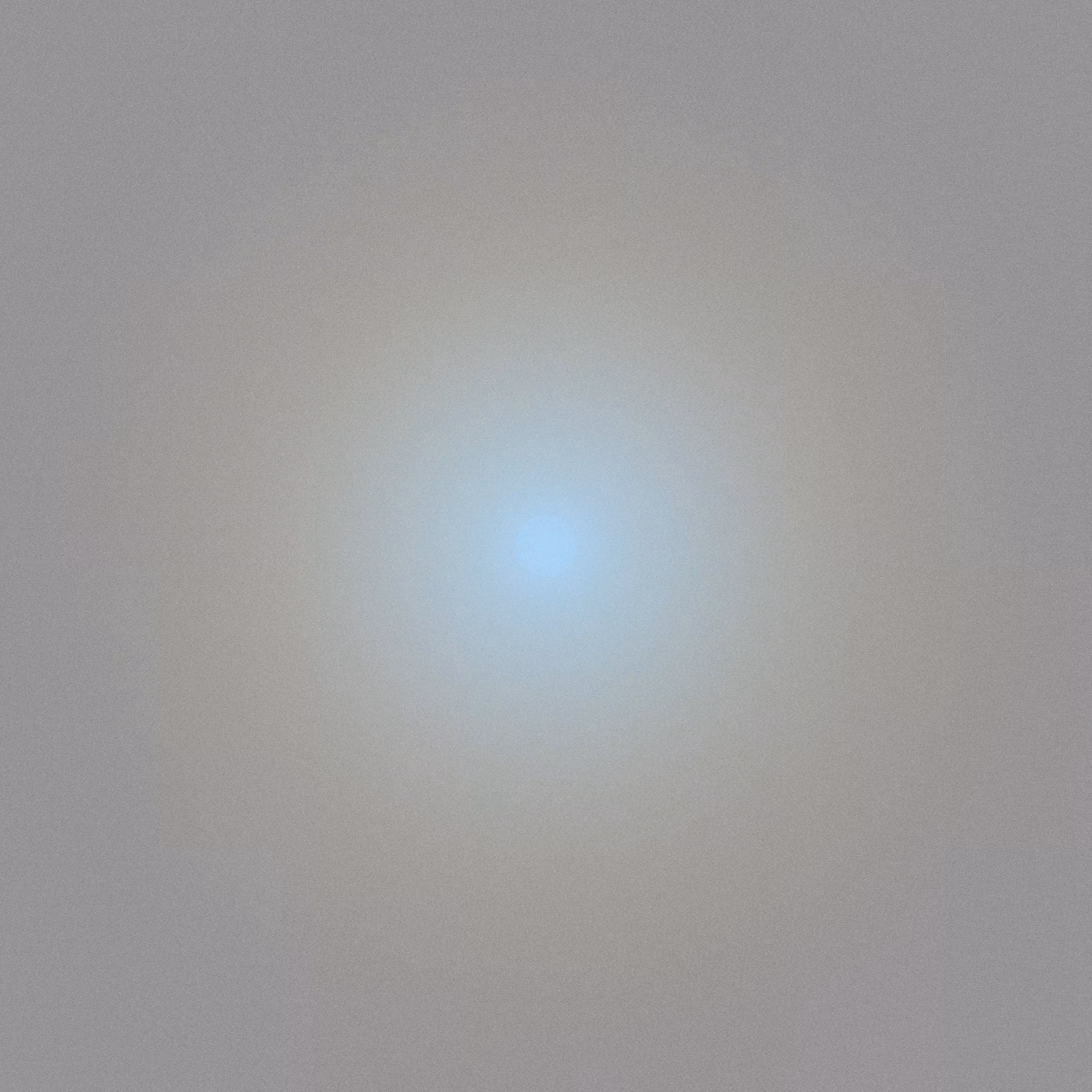 with the light 23