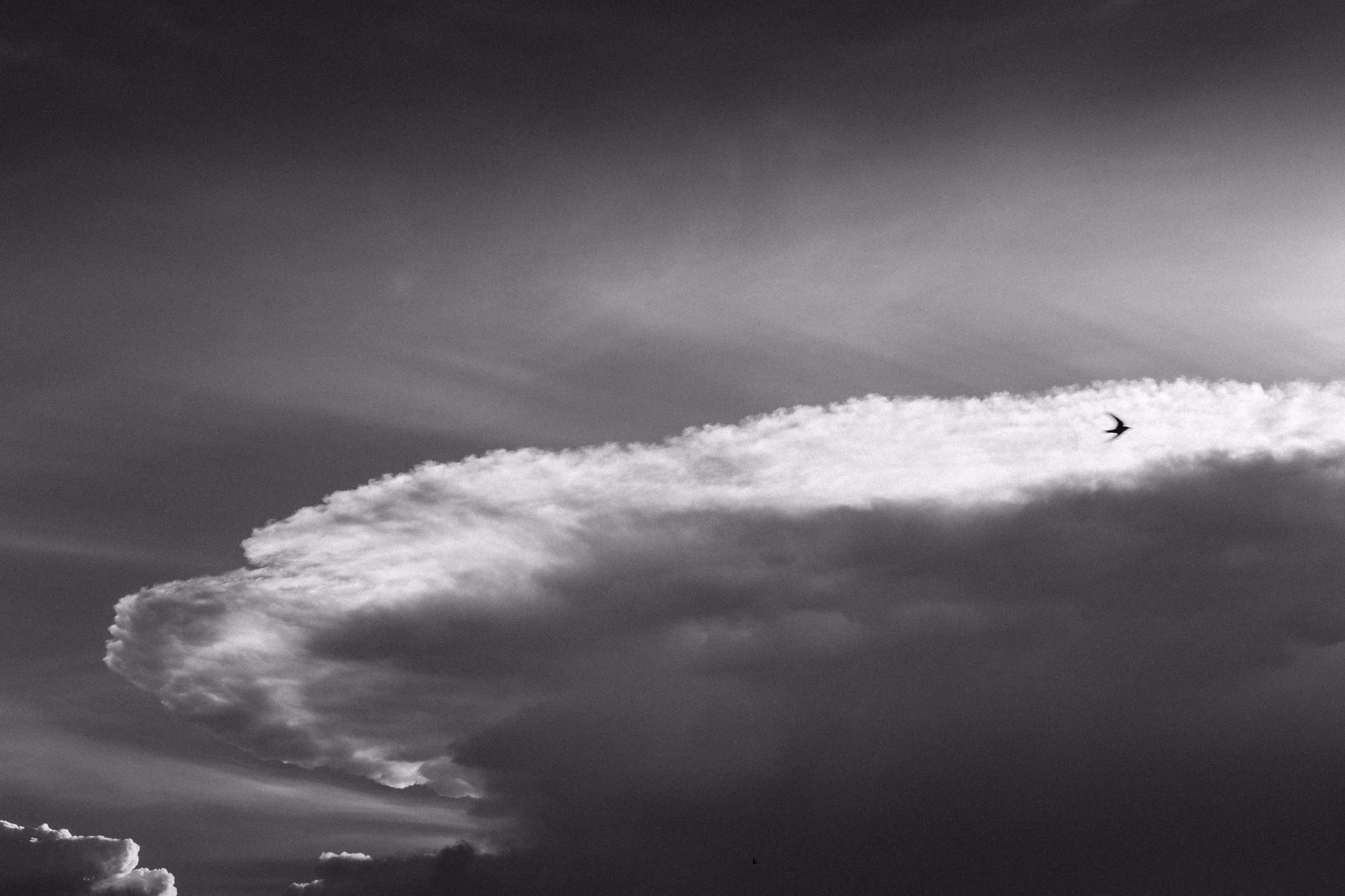 The big sky.