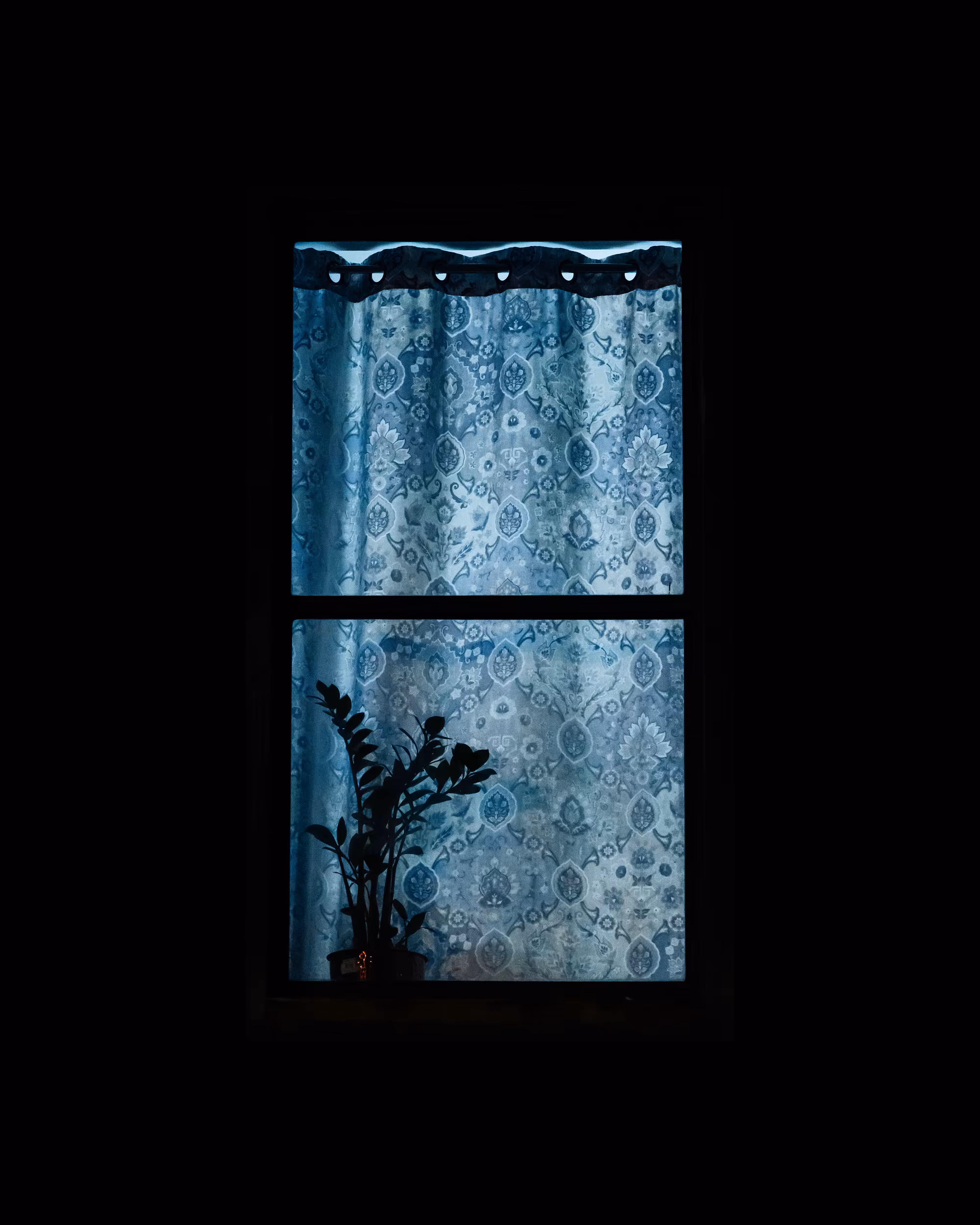WINDOW 675