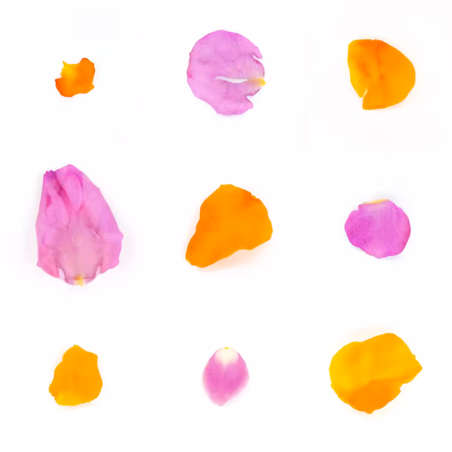 Infinite Petals 3x3#20091