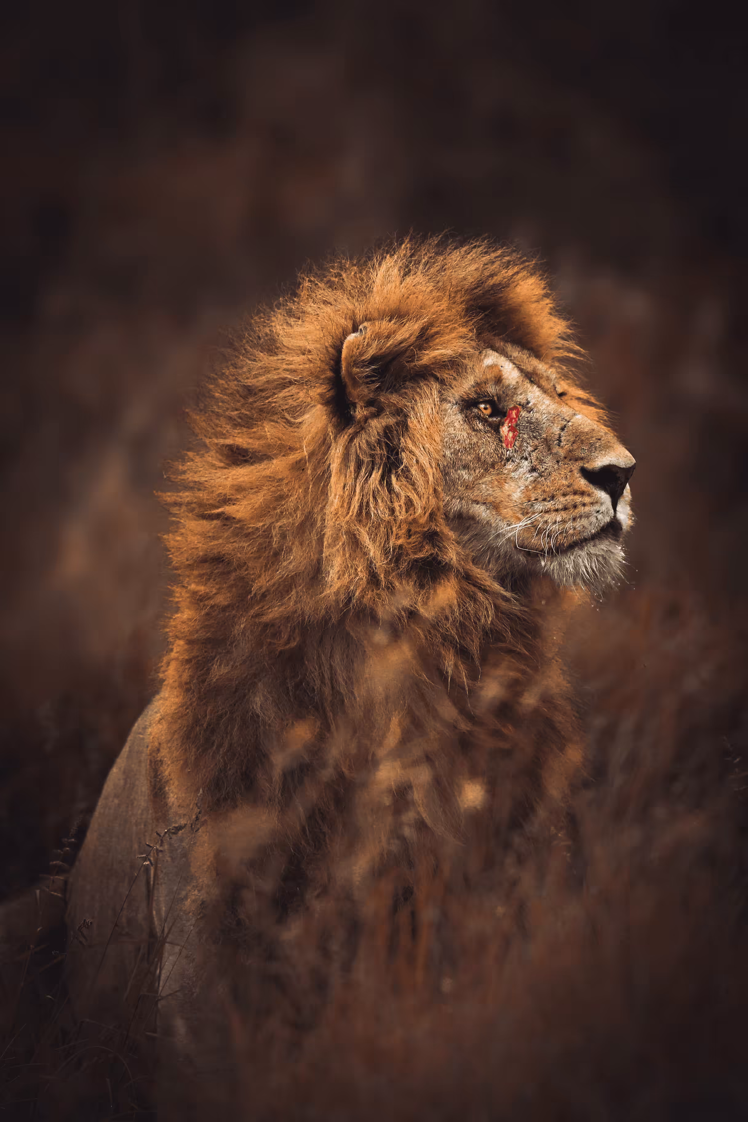 - Warrior -