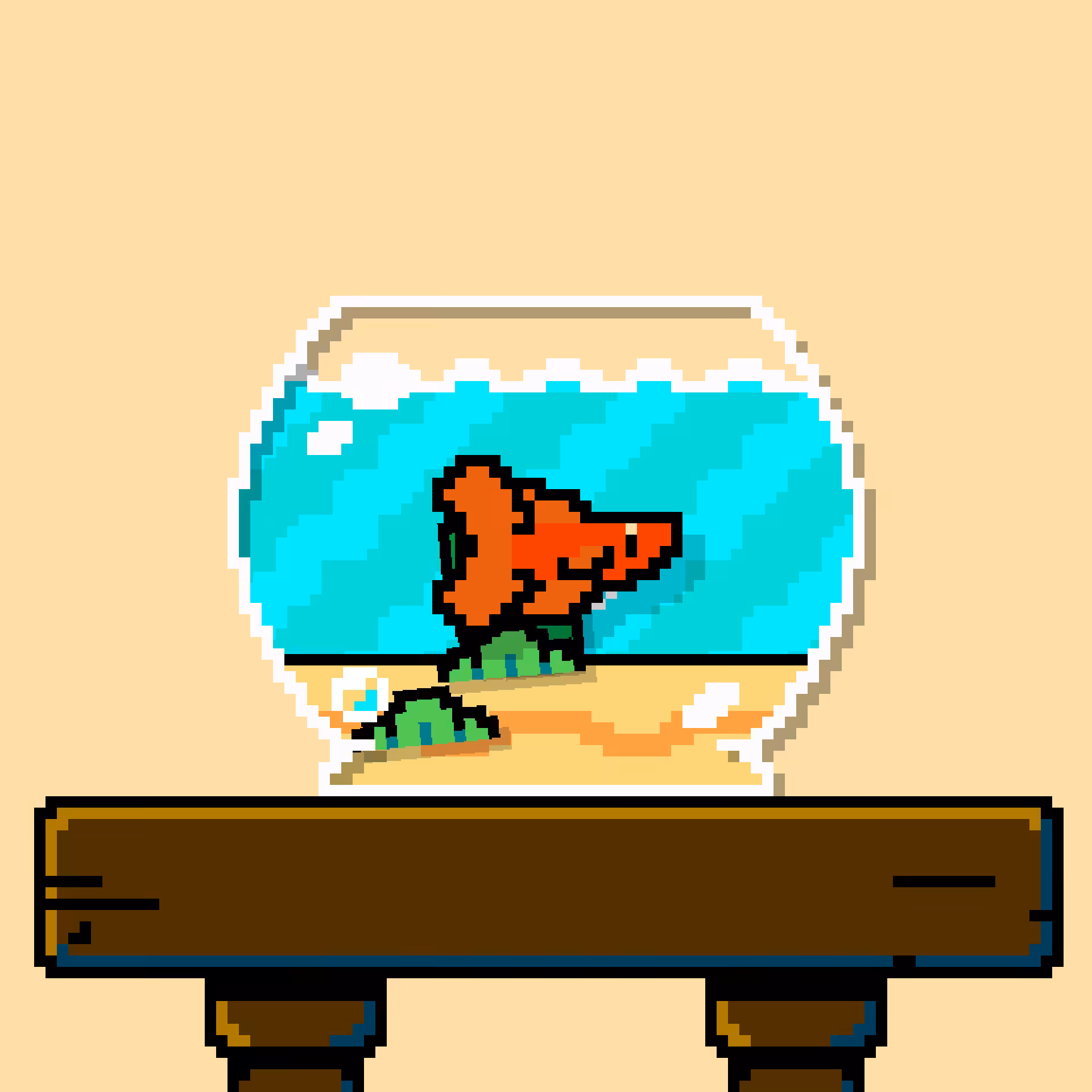 betta fish #585